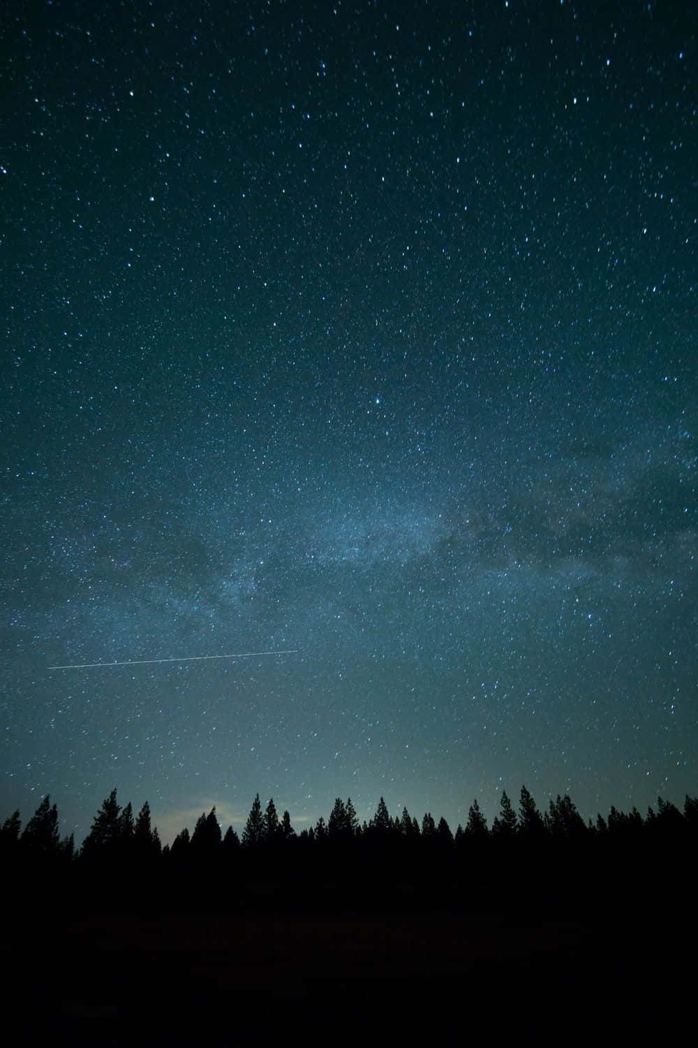 Moon And Stars Phone 桌布 壁紙 — 繁星點點的夜空，銀河拱跨在黑暗的松林剪影之上。