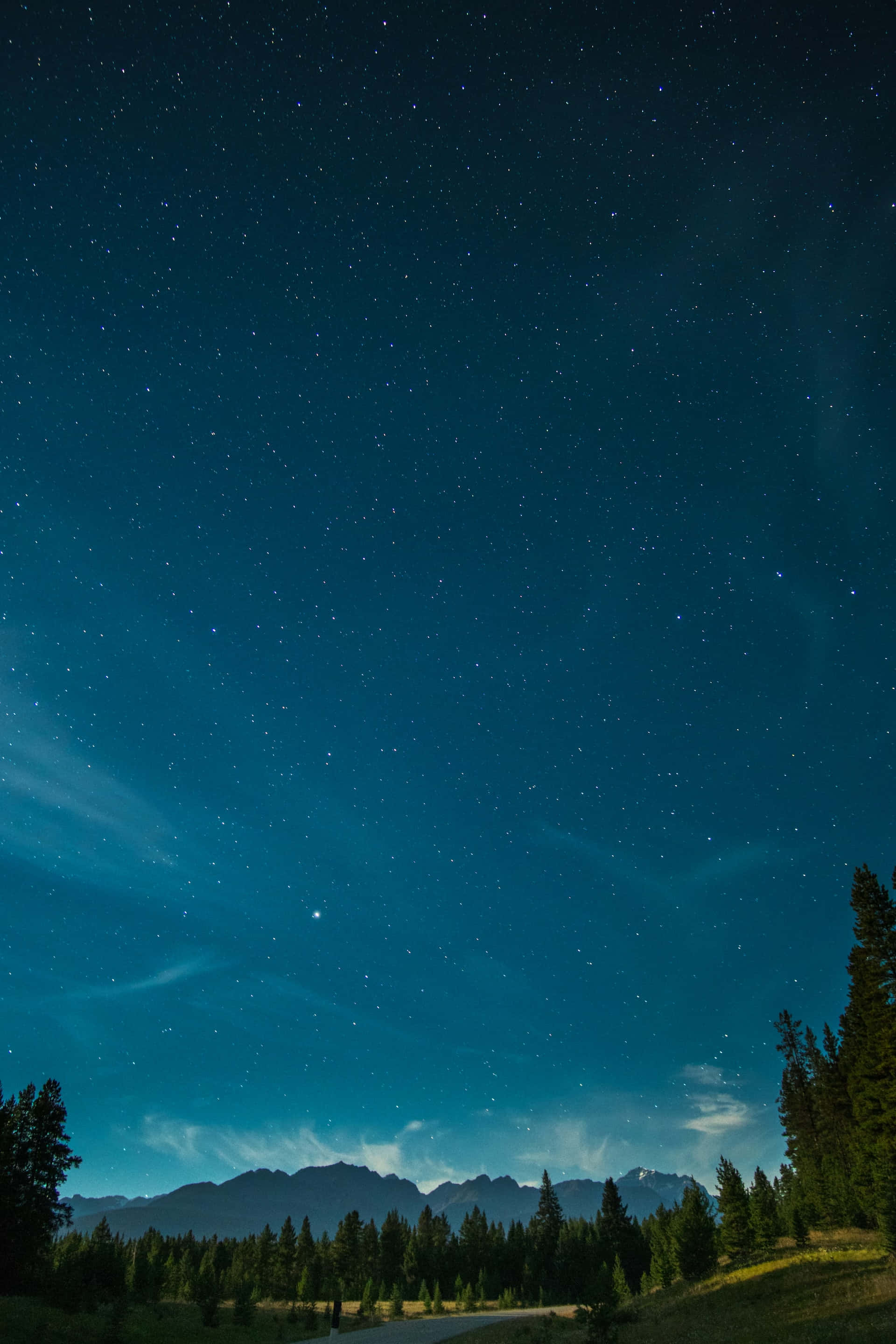 平靜 桌布 壁紙 — 繁星點點的夜空，閃爍的極光拱形橫跨在黑暗的山脈和松樹林之上。