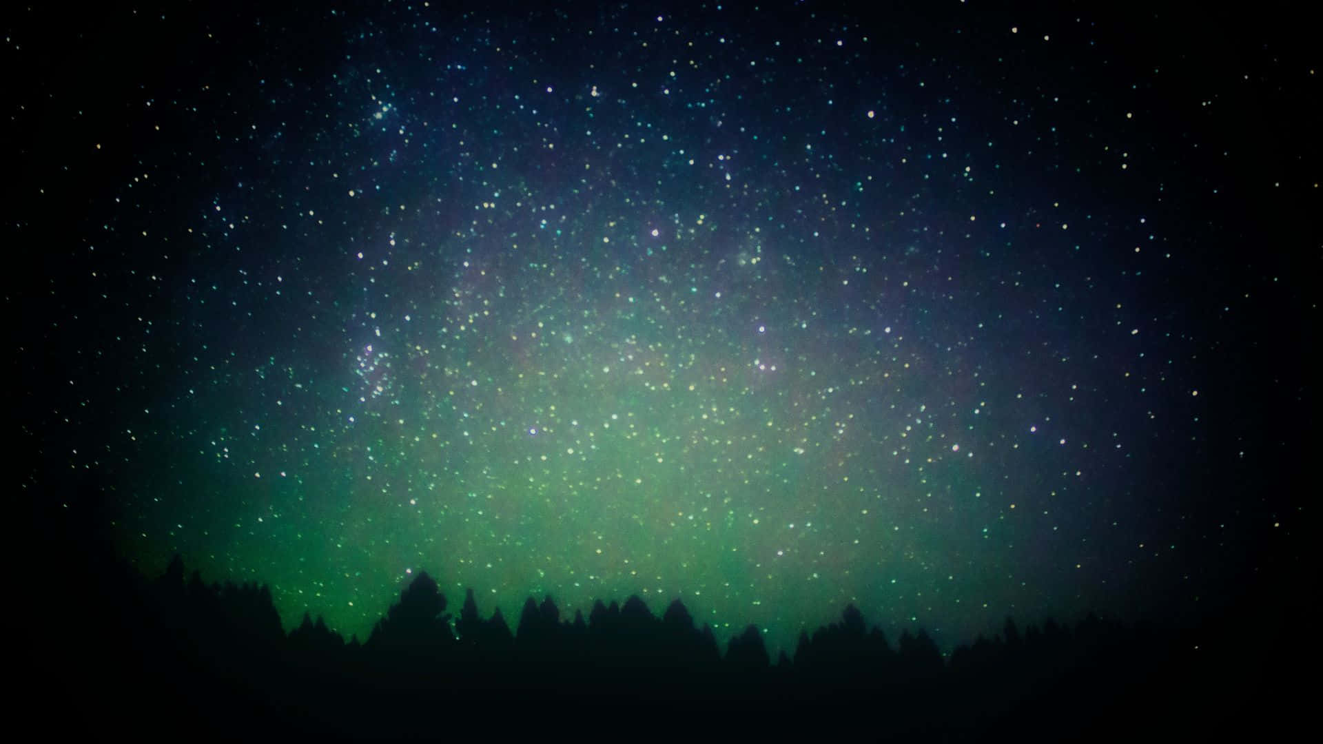 星空動畫 桌布 壁紙 — 繁星點點的夜空，鮮豔的綠色北極光在黑暗的森林輪廓上拱起。