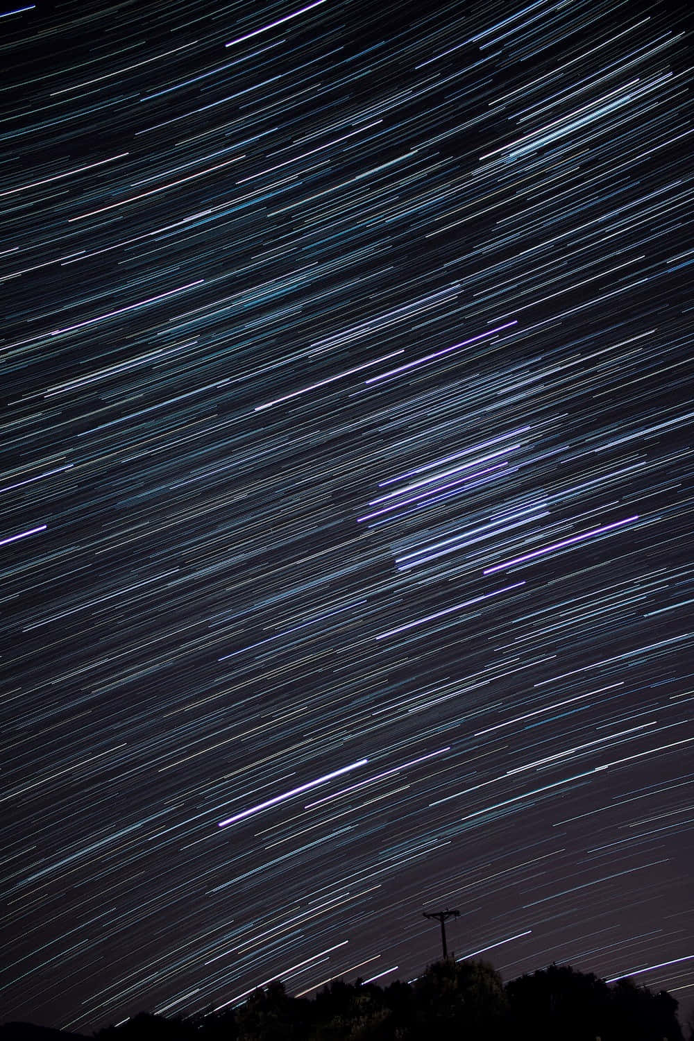 WhatsApp 桌布 壁紙 — 繁星點點的夜空，鮮豔的藍色和紫色軌跡在黑暗的樹木和電線桿剪影上方流動。