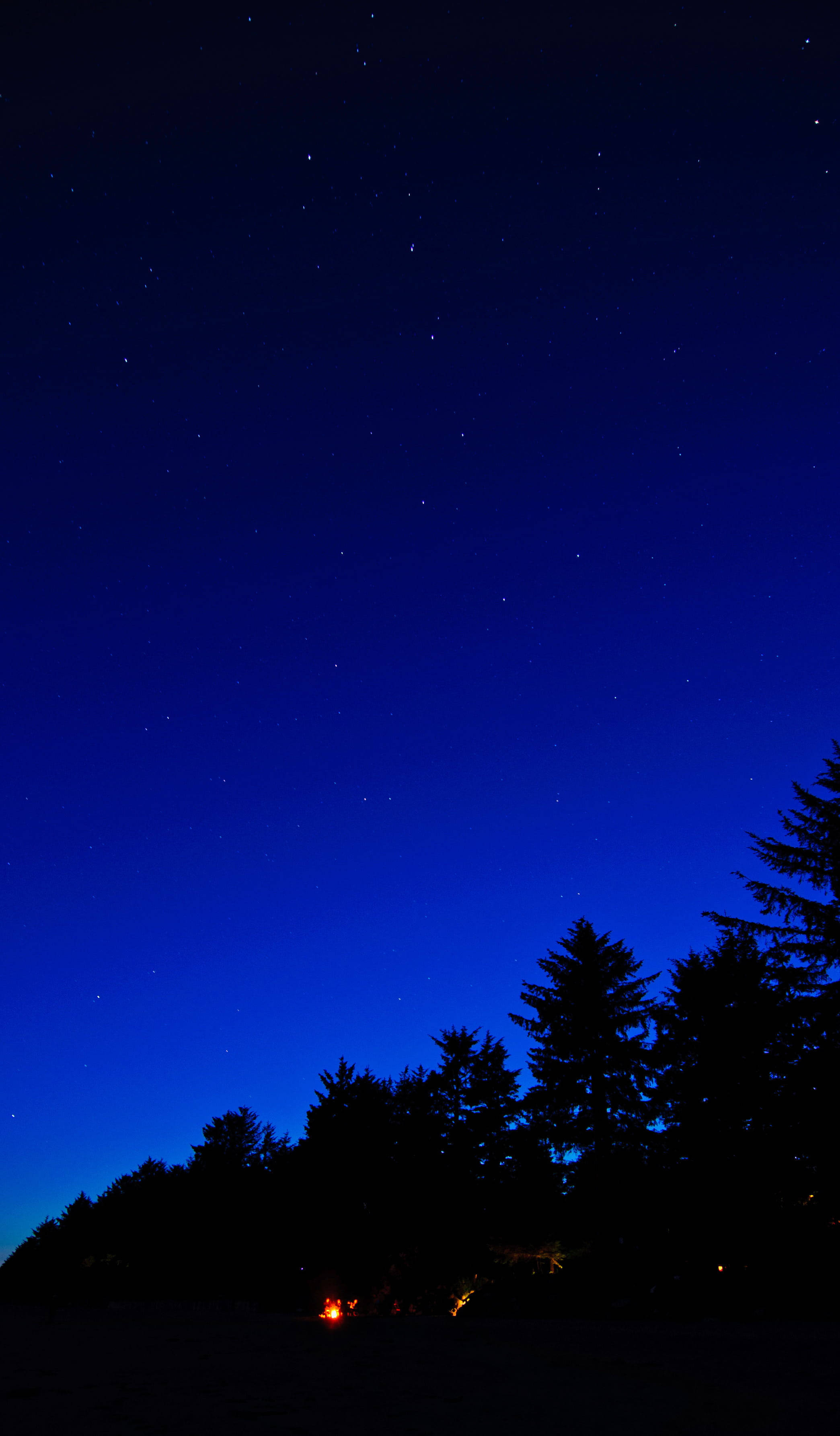 安卓手機 桌布 壁紙 — 繁星點點的夜空在深藍色中閃耀，下方是黑暗的森林輪廓，底部有一個小營火在發光。