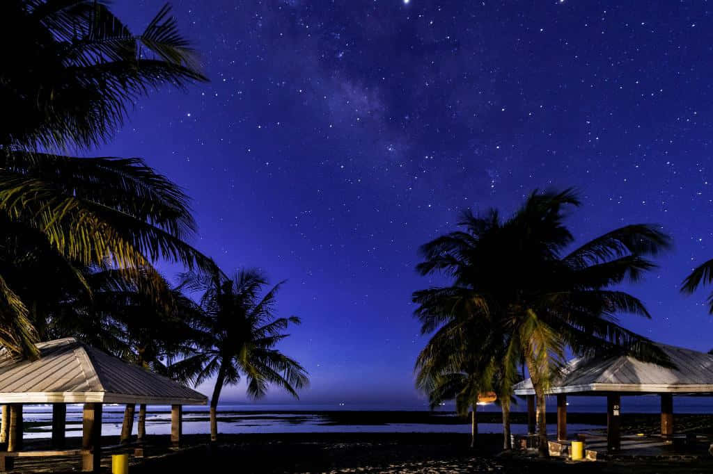 海灘 桌布 壁紙 — 繁星點點的夜空拱形籠罩著寧靜熱帶海岸上棕櫚樹和海灘小屋的剪影。