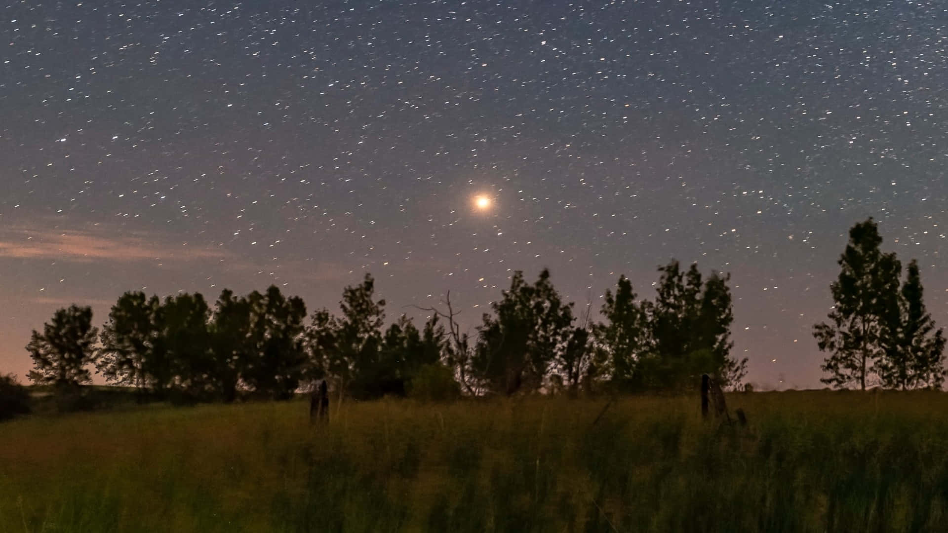 火星 桌布 壁紙 — 繁星點點的夜空掛著一輪明月，下方是一片草地，兩旁是黑暗的樹木剪影。