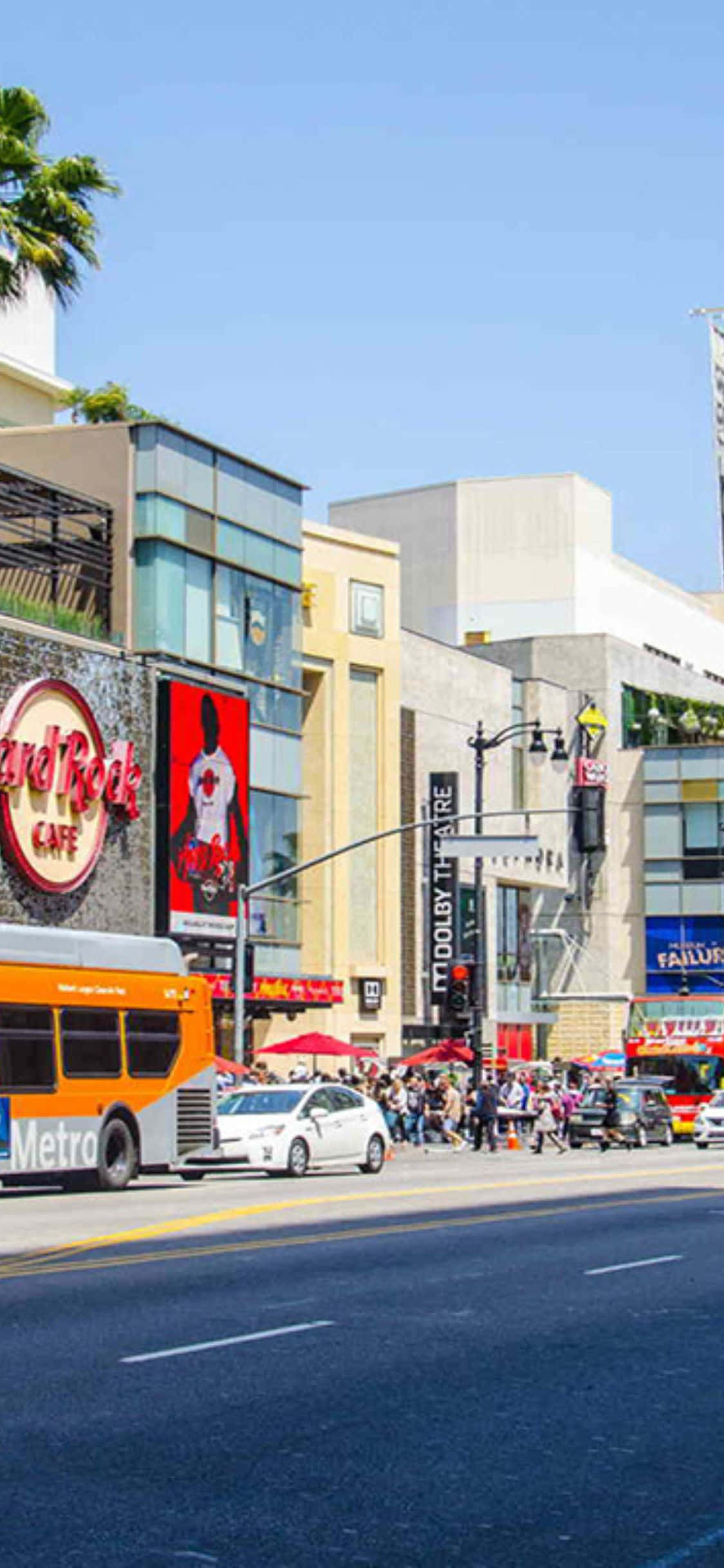iPhone Xs California 桌布 壁紙 — 繁華的好萊塢街道，設有Hard Rock Cafe和杜比劇院，在明亮的藍天下，棕櫚樹和交通。