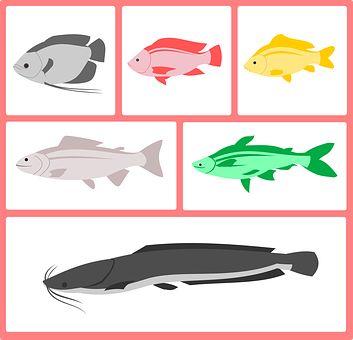 繽紛魚群向量插圖 壁紙