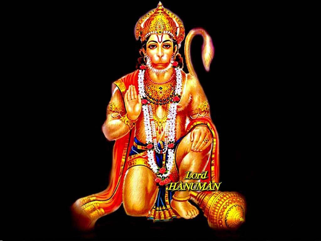 hanuman ji HD 桌布 壁紙 — 羅德·哈努曼以冥想姿勢坐著，身著金色珠寶和紅橙色長袍，背景為黑色。