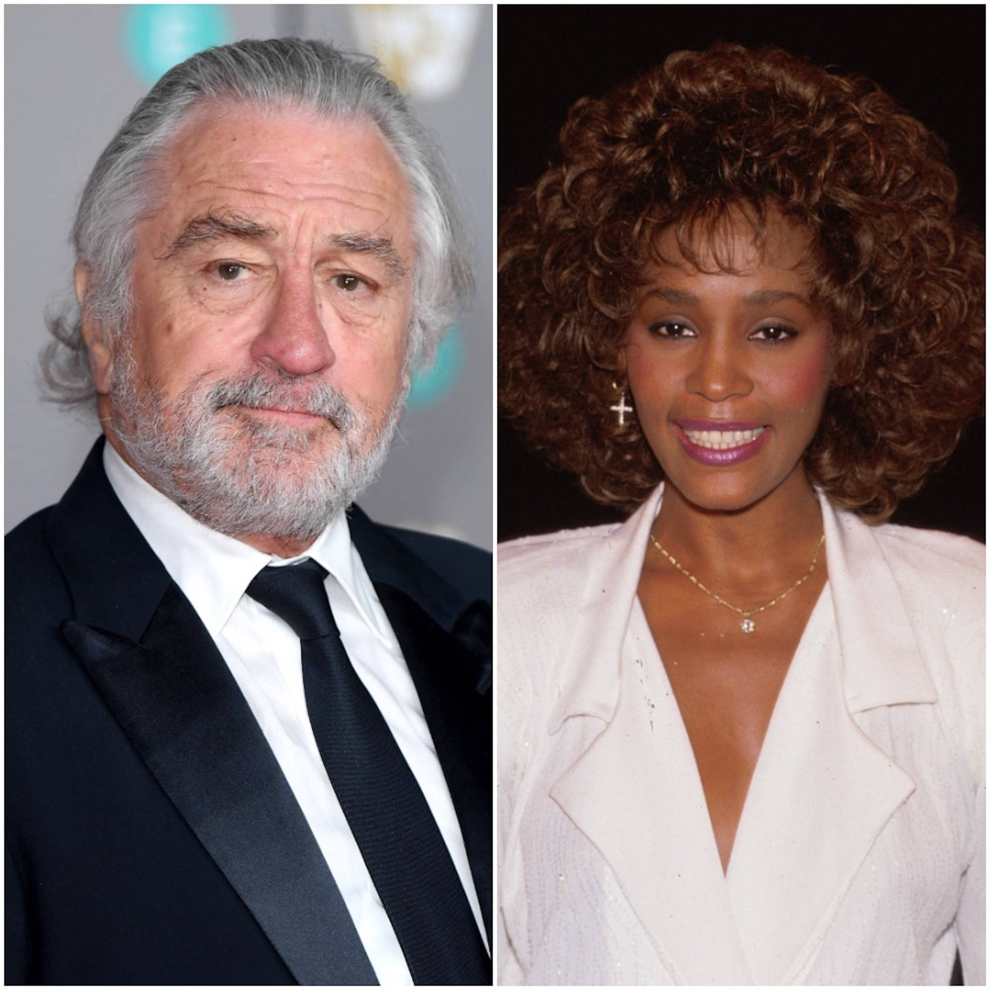 Robert De Niro 桌布 壁紙 — 羅拔迪尼路身穿黑色西裝和雲妮侯斯頓身穿白色外套的分割肖像，兩人都對著鏡頭微笑。