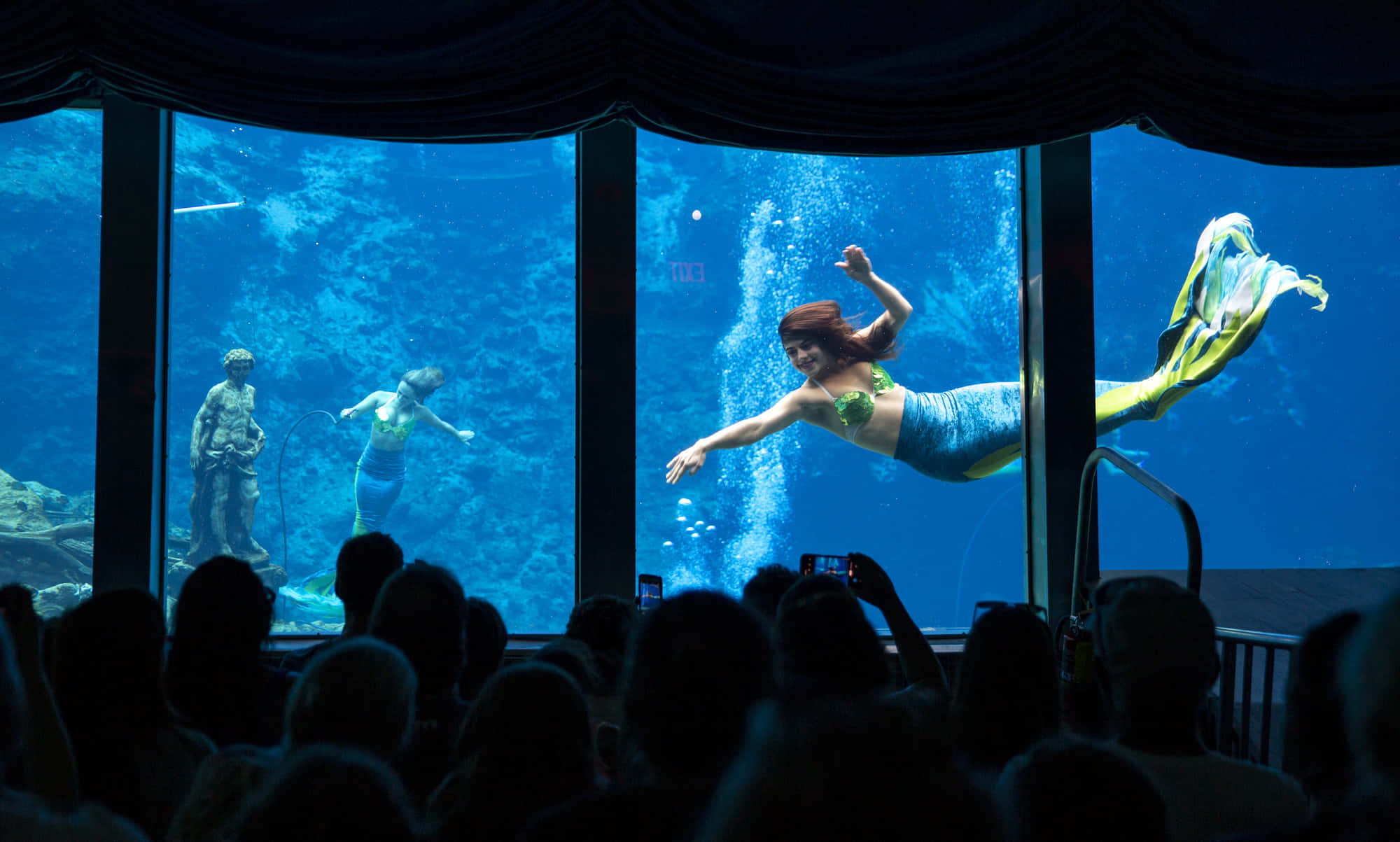 Real Mermaid 桌布 壁紙 — 美人魚在大型水族館中表演優雅的水中芭蕾，觀眾從上方觀看。