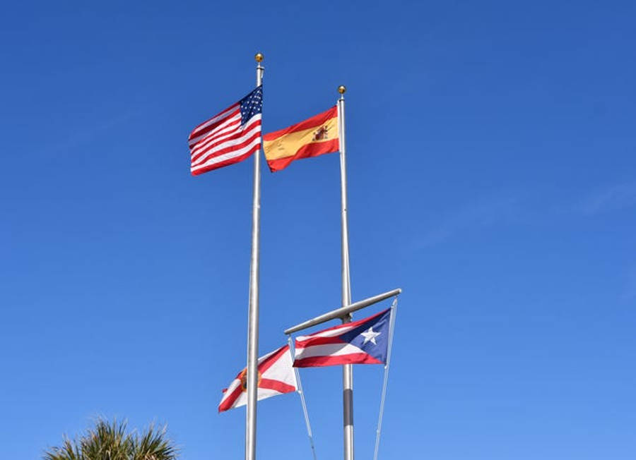 Spain Flag 桌布 壁紙 — 美國、西班牙和波多黎各的三面旗幟在清澈的藍天下自豪地飄揚，一棵棕櫚樹從下方探出頭來。