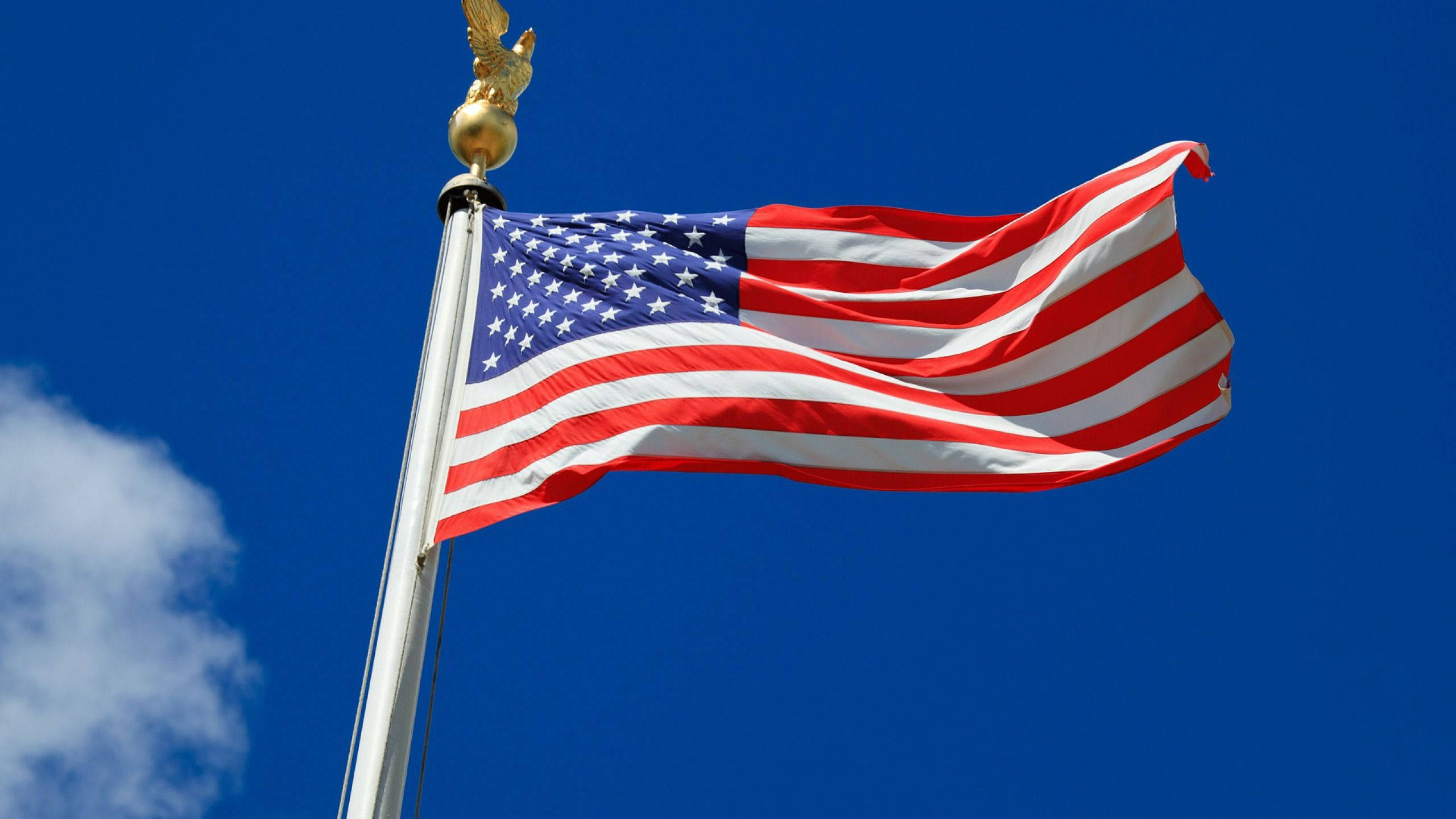 American 桌布 壁紙 — 美國國旗在一片晴朗的藍天中自豪地飄揚，一朵白雲飄過。