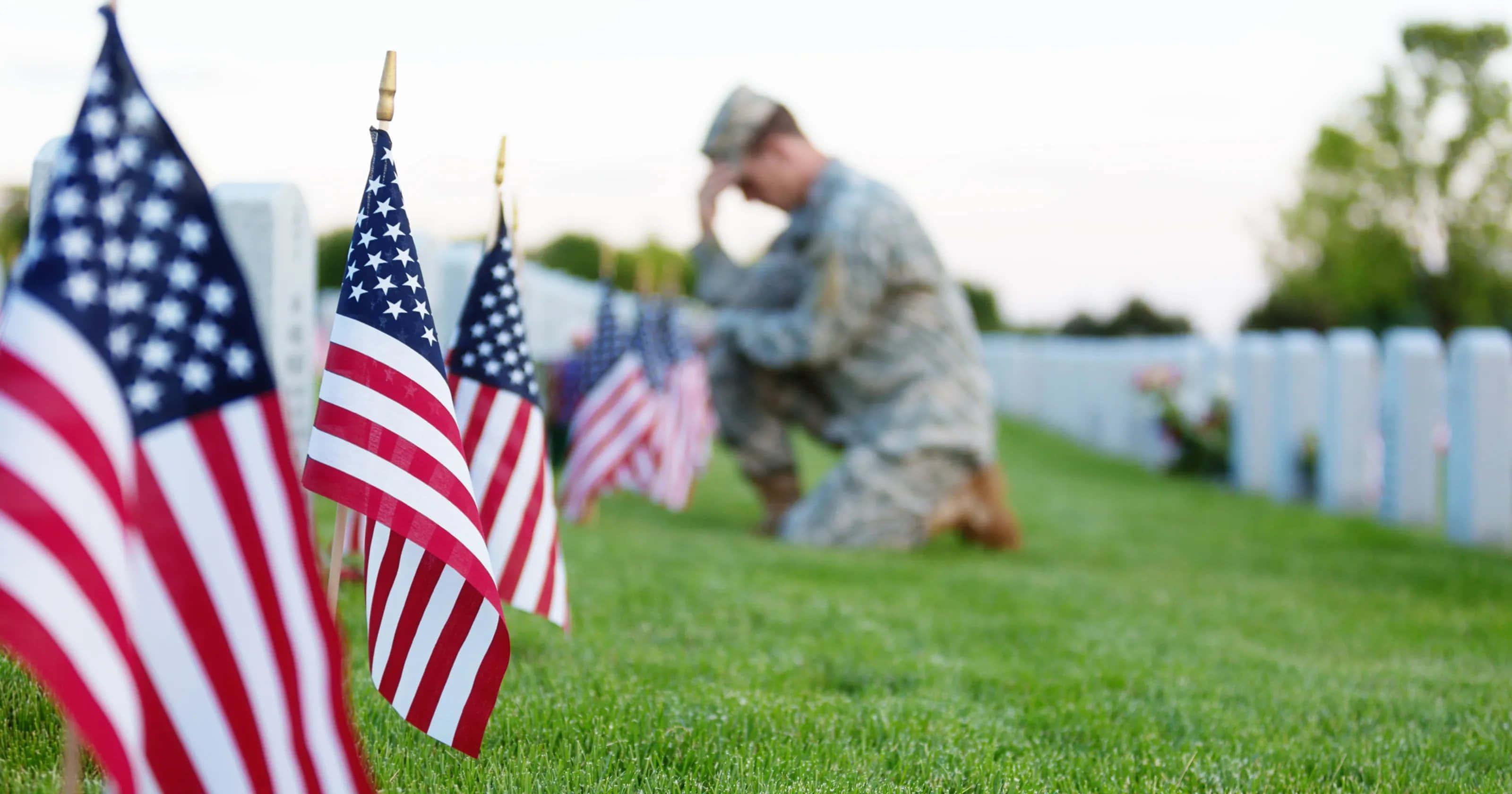 Memorial Day 桌布 壁紙 — 美國國旗在草地上的墓地清晰聚焦，而一名士兵在模糊的背景中跪下致敬。