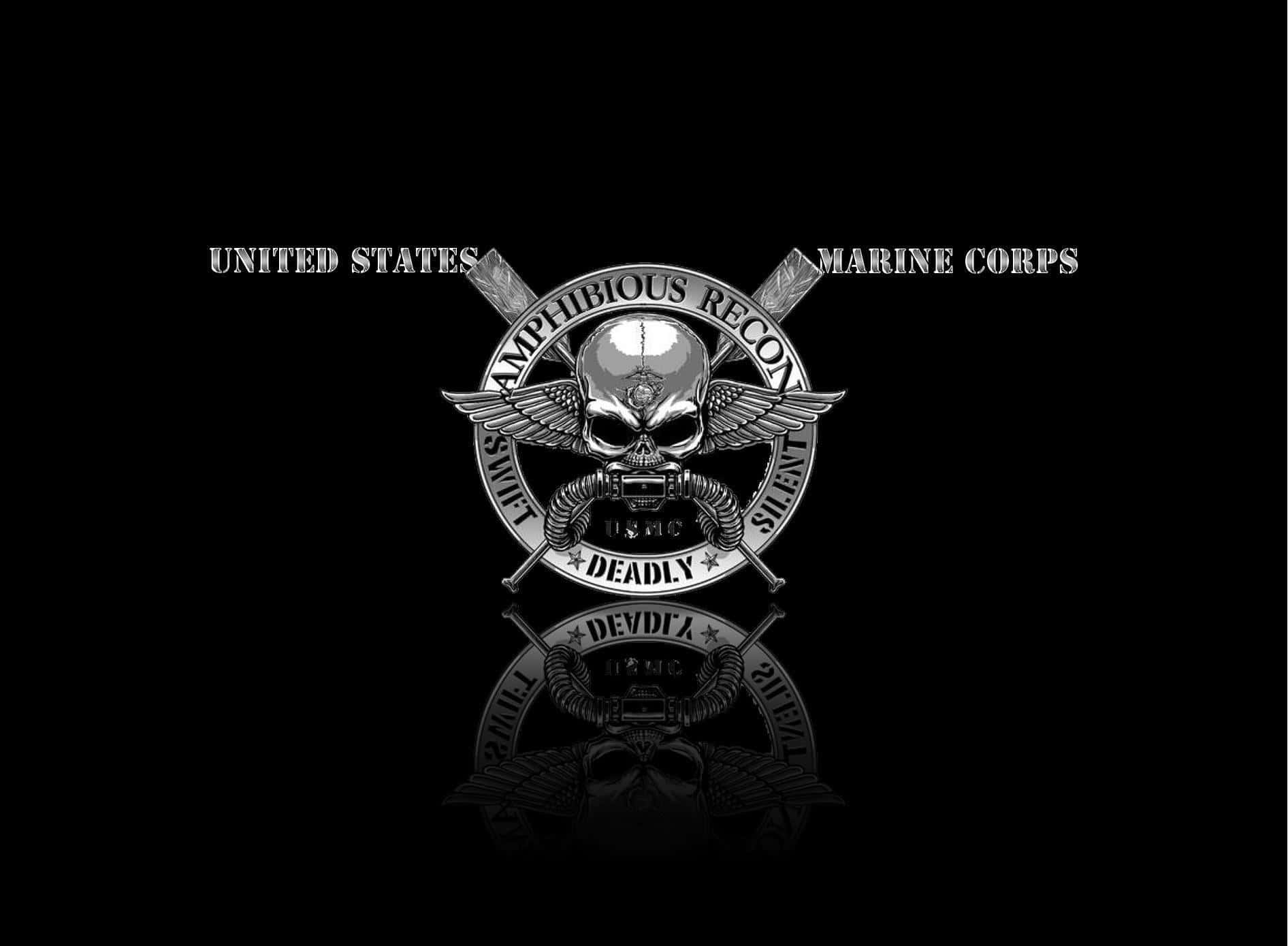Usmc 桌布 壁紙 — 美國海軍陸戰隊兩棲偵察部隊的鮮明黑白徽章，黑色背景上帶有骷髏頭、翅膀和交叉步槍，並有鏡像反射。