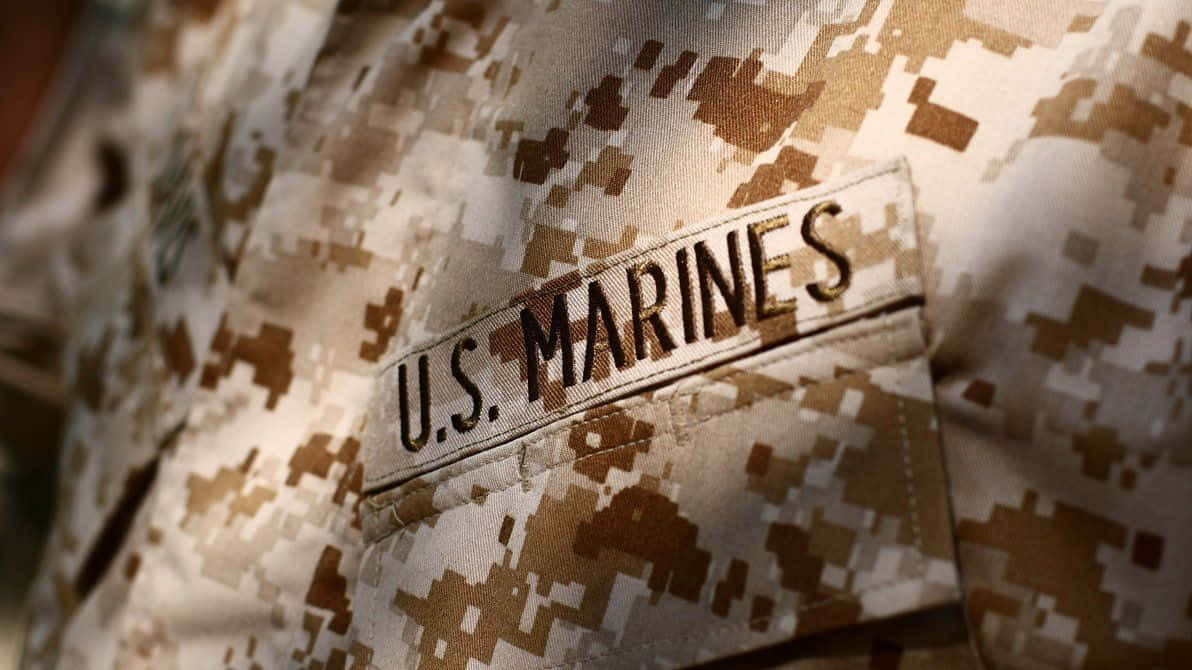 United States 桌布 壁紙 — 美國海軍陸戰隊徽章在沙漠數位迷彩制服布料上的特寫。