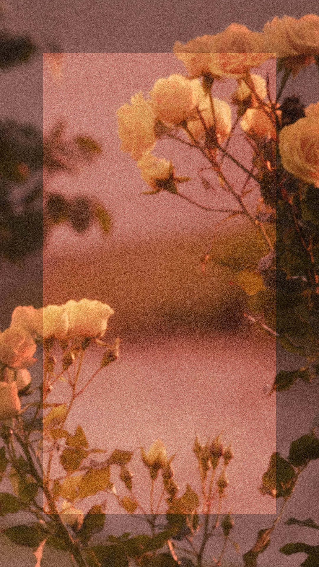 美學 2160 x 3840 背景 壁紙