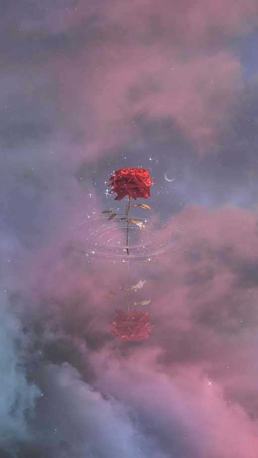美學iPhone背景