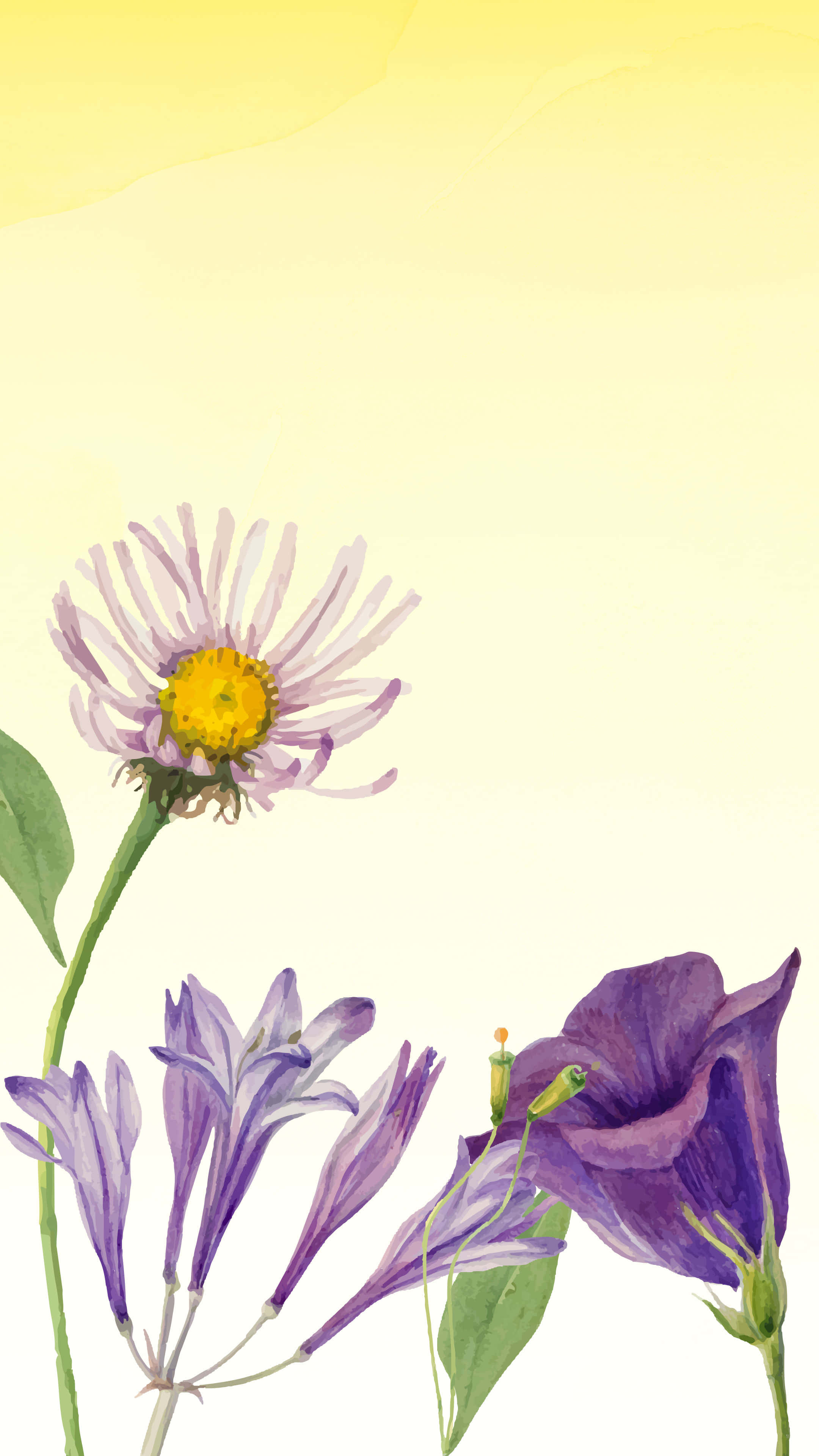 美麗的2160 x 3840背景