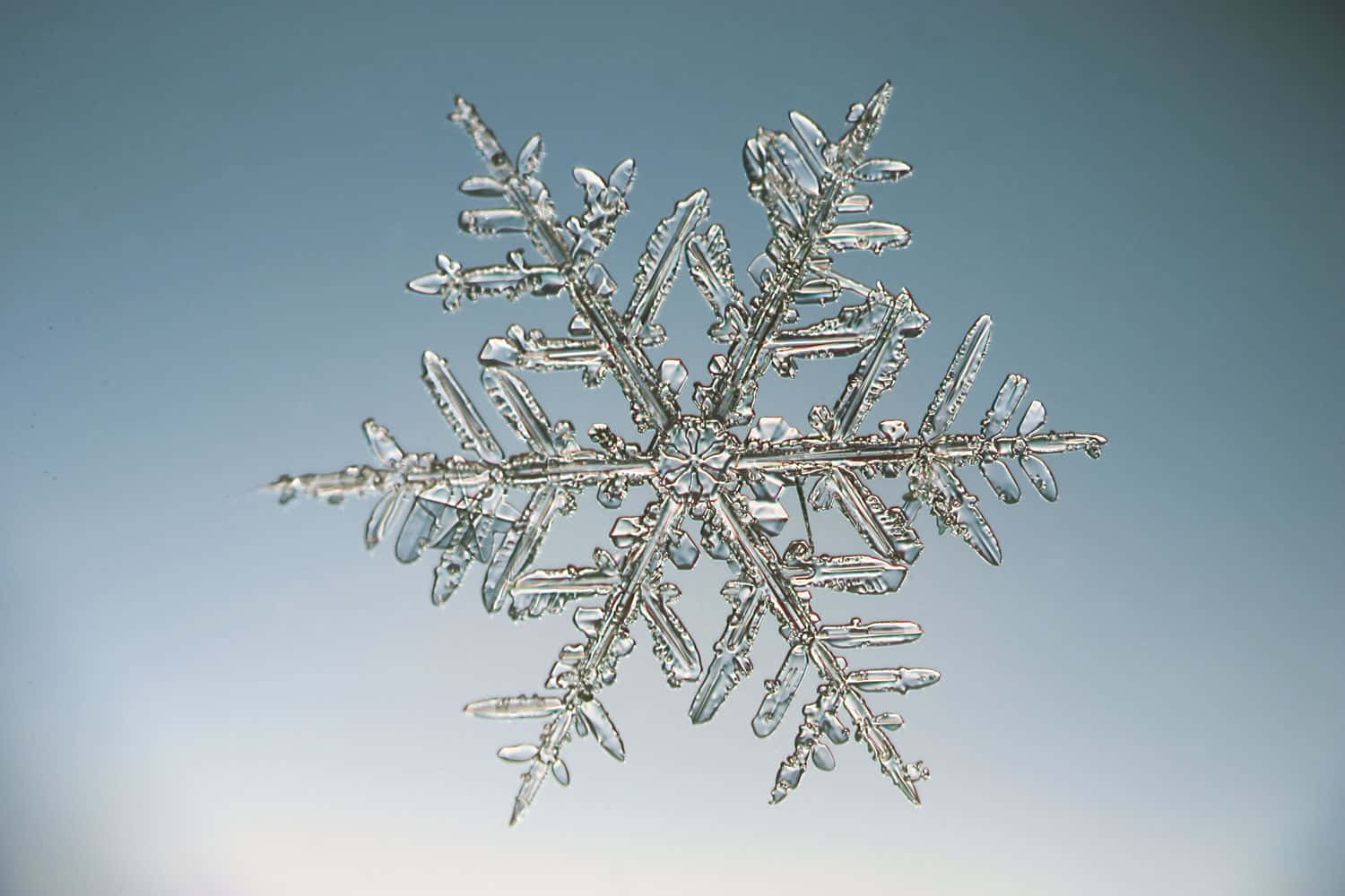 「美麗自然雪花」 壁紙