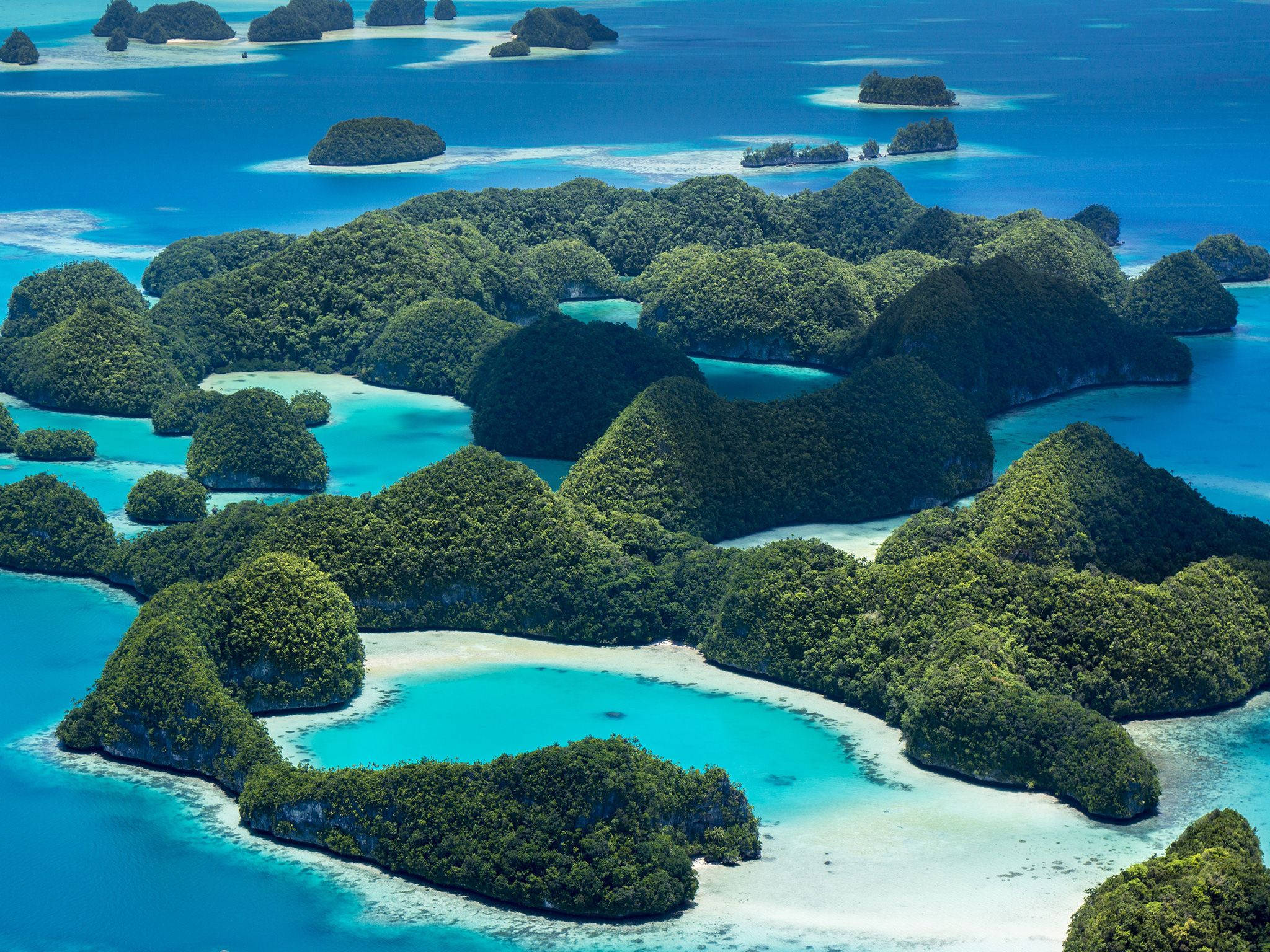 Palau 桌布 壁紙 — 翠綠島嶼的鳥瞰圖，擁有碧綠色的潟湖和白色沙洲，位於充滿活力的藍色海洋中。