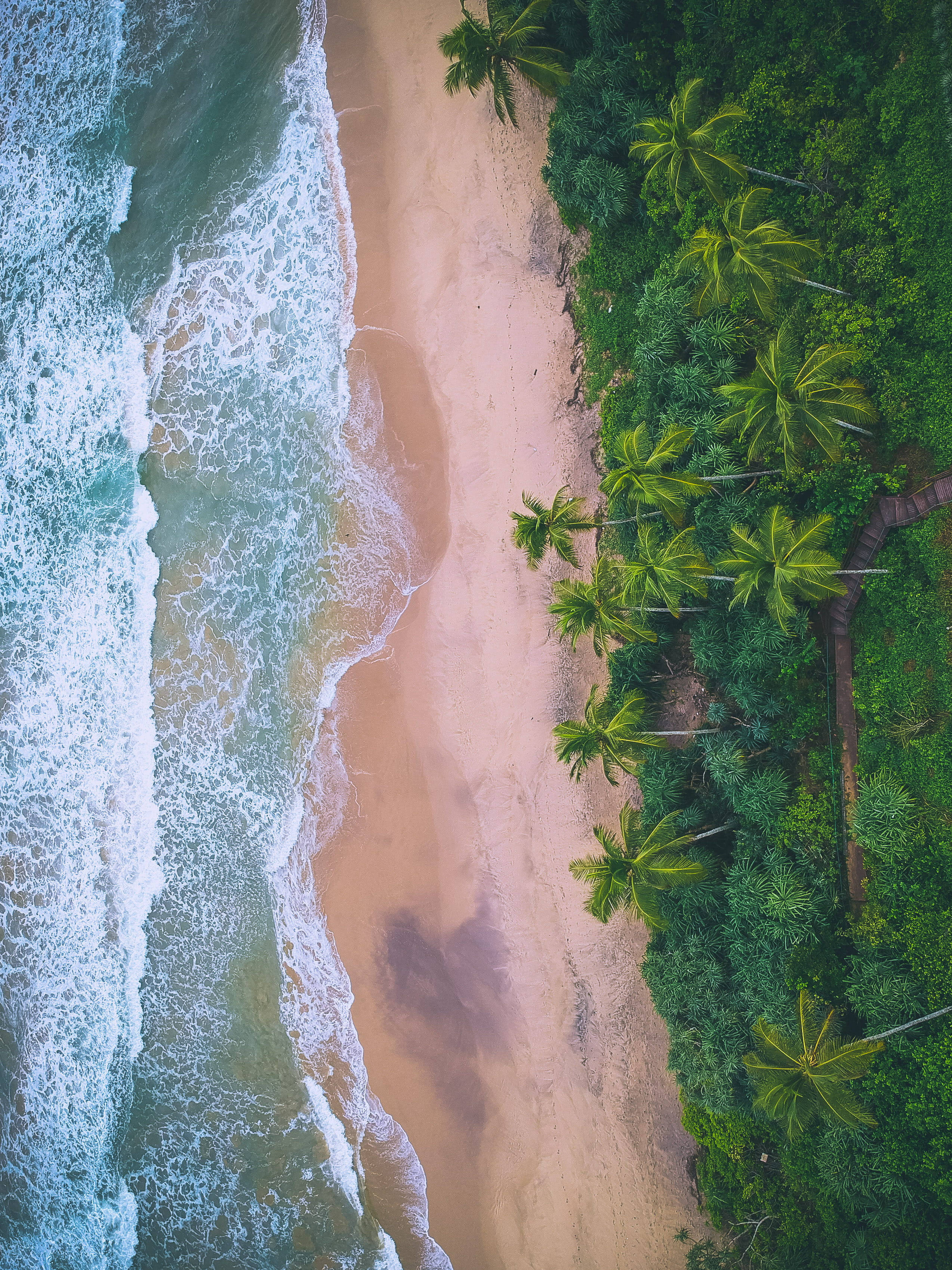 Sri Lanka 桌布 壁紙 — 翠綠棕櫚樹環繞的沙灘上，碧綠海浪拍打的鳥瞰圖。
