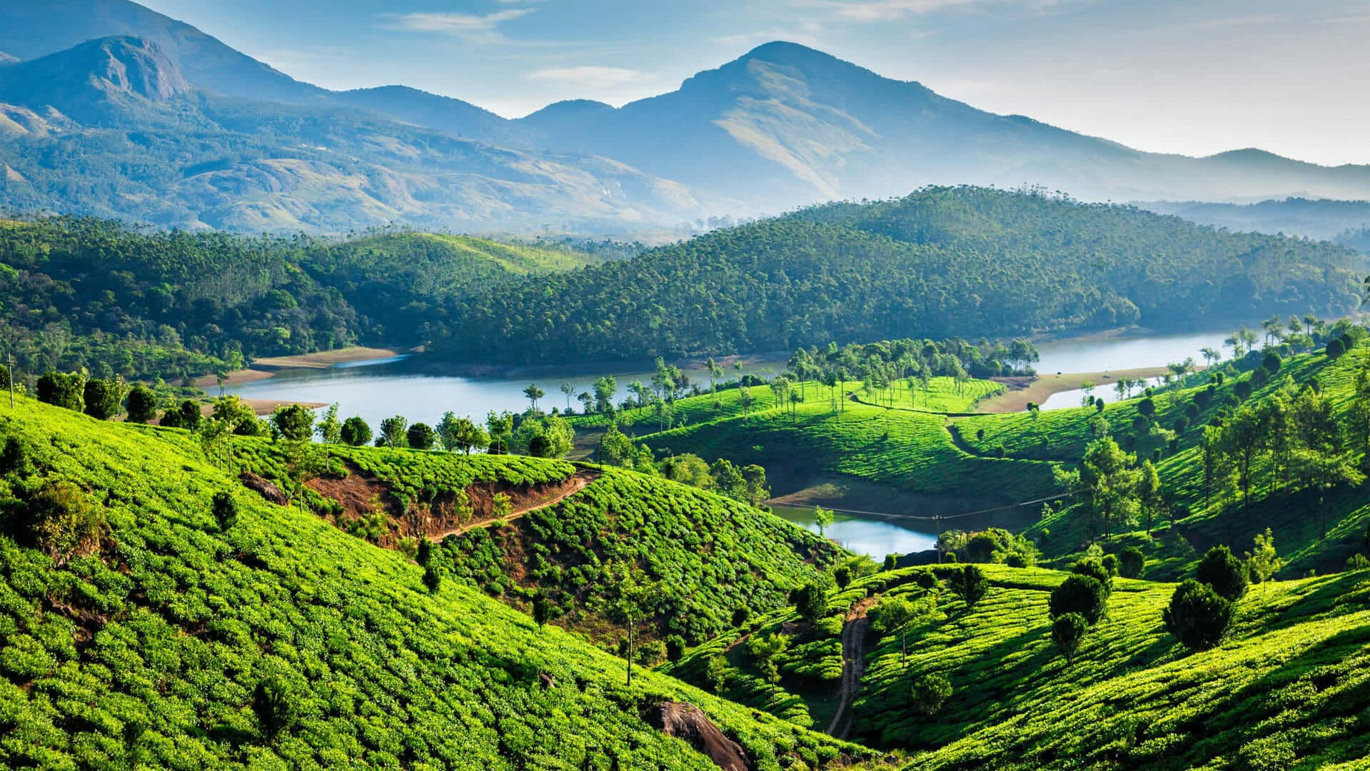 Kerala 桌布 壁紙 — 翠綠的茶園梯田沿著山坡層層疊疊，旁邊是平靜的湖泊，遠處有霧氣繚繞的山巒，天空明亮。