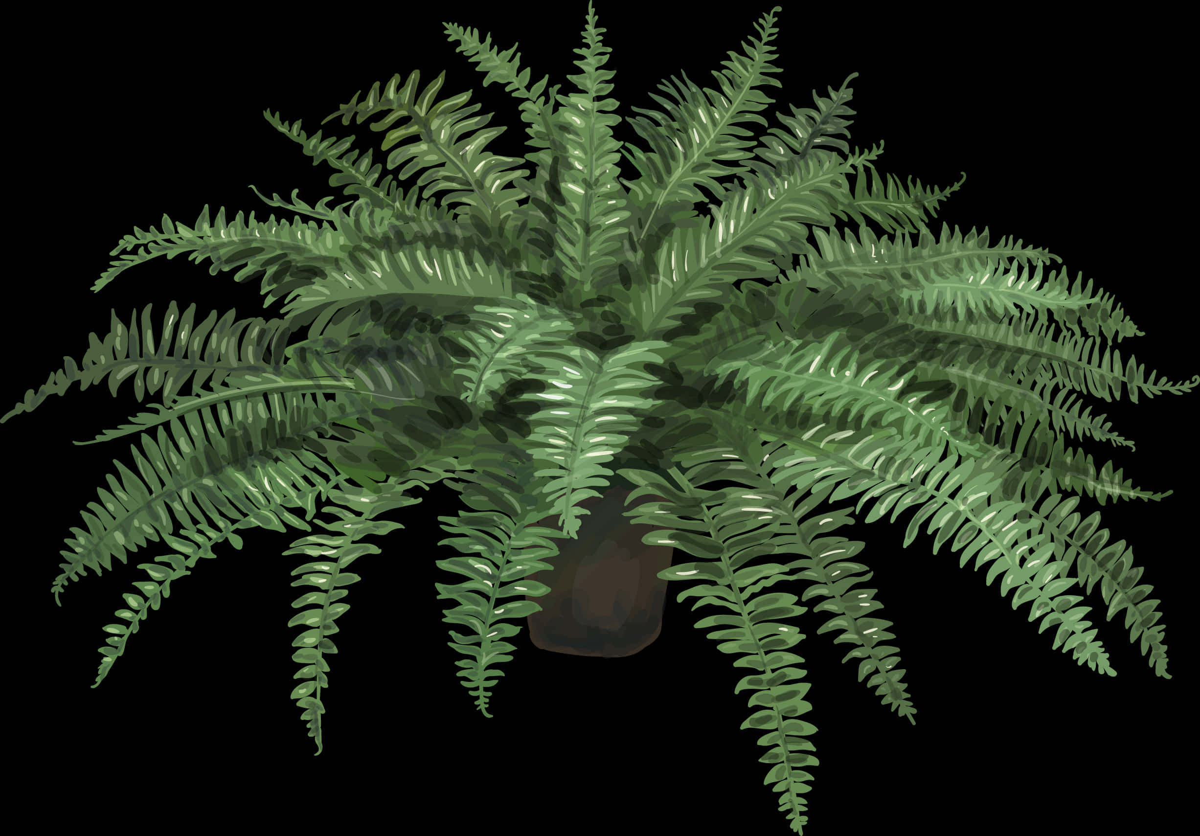 翠綠茂盛的蕨類植物 壁紙