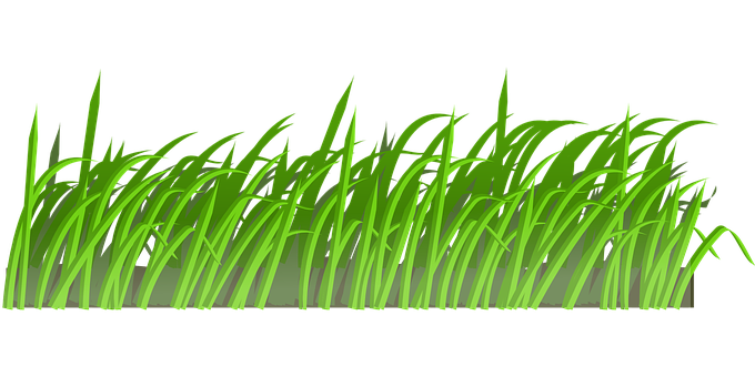 翠綠草地插畫 壁紙