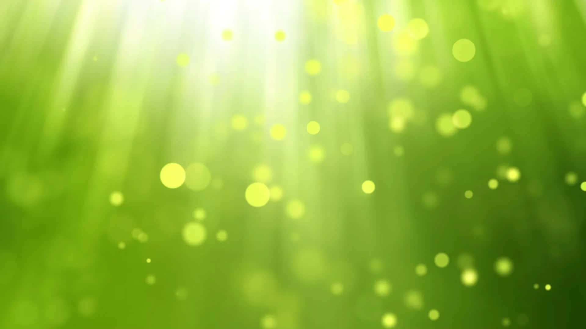 Bokeh 桌布 壁紙 — 耀眼的綠色光束穿透柔和的散景球體，營造出寧靜發光的森林氛圍。