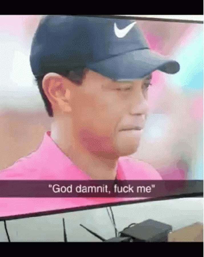 老虎伍茲慶祝比賽勝利 壁紙
