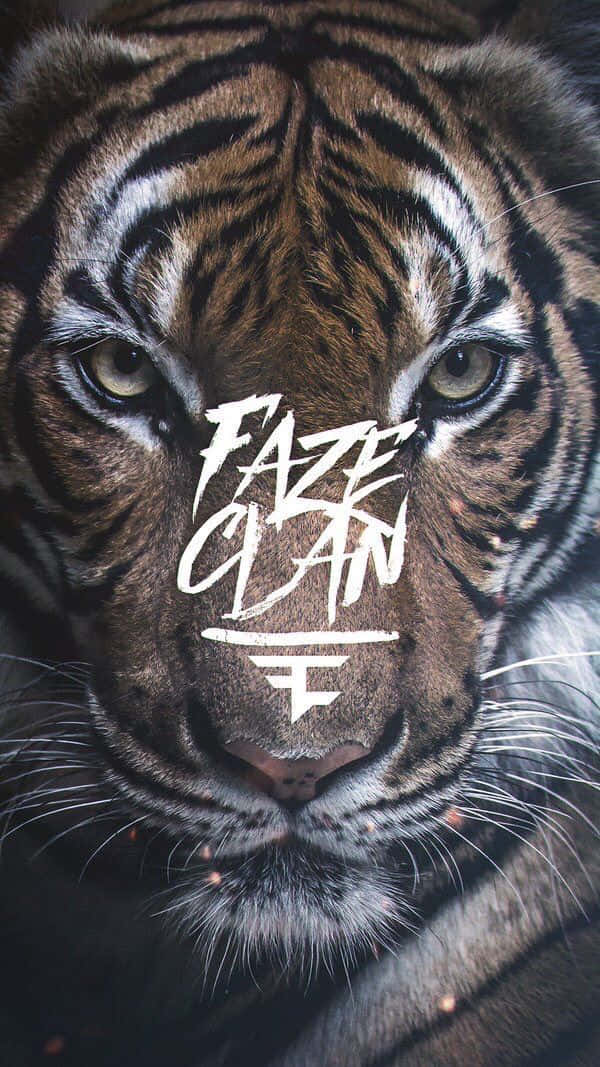 老虎 桌布 壁紙 — 老虎強烈眼神的特寫，額頭上疊加了「FAZE CLAN」塗鴉風格文字。