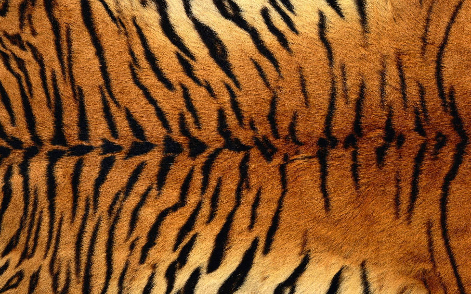 Animal Fur 桌布 壁紙 — 老虎毛皮特寫，在溫暖的橙色和奶油色背景上顯示大膽的黑色條紋，並帶有可見紋理。