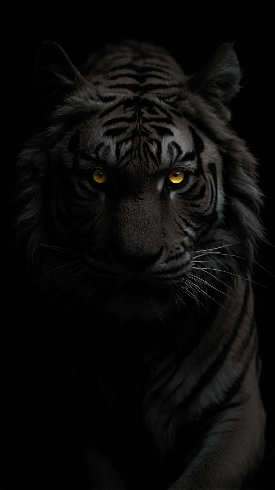 Glowing White Tiger 4K Wallpaper 壁紙 — 老虎臉部特寫，在近乎黑暗的環境中，琥珀色的眼睛發光，強烈地向前凝視。