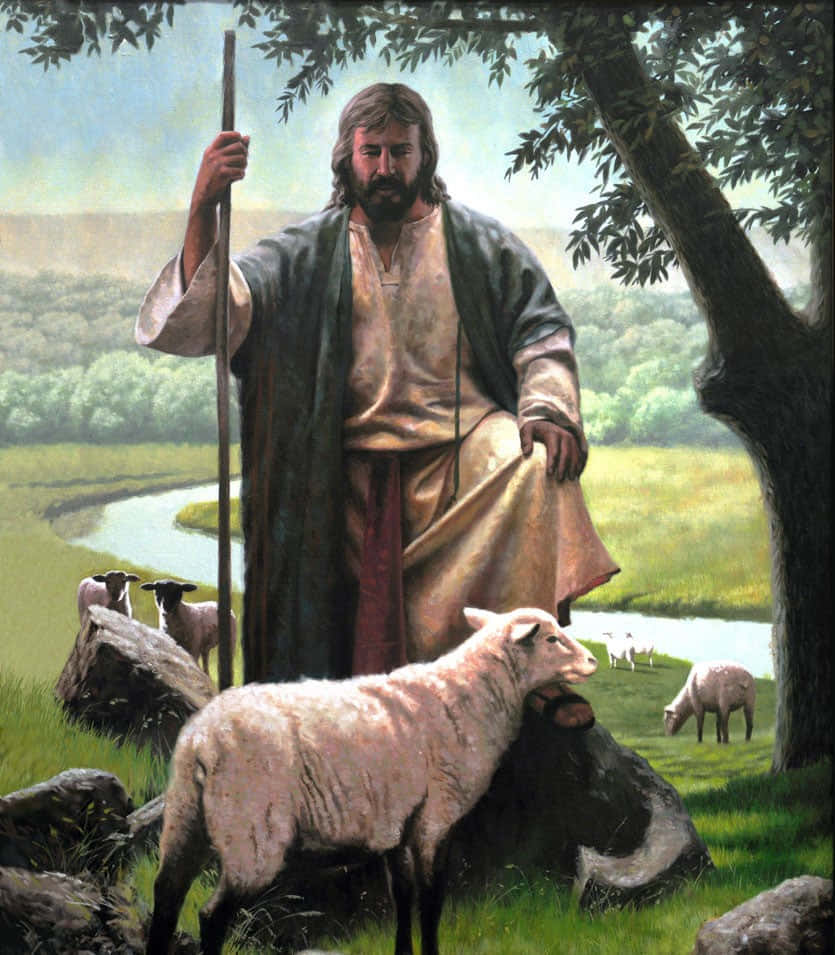 Jesus With Sheep 桌布 壁紙 — 耶穌作為牧羊人，手持杖，站在河邊樹下茂盛綠草地上的羊旁邊。