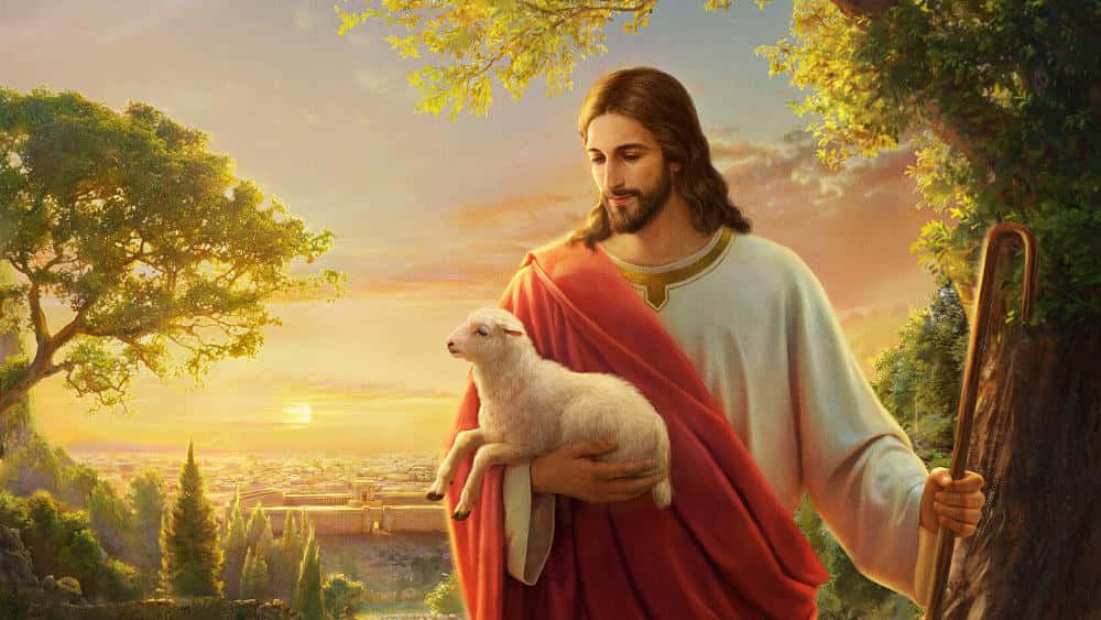 Jesus With Sheep 桌布 壁紙 — 耶穌在金色夕陽下溫柔地抱著一隻羔羊，身後是茂密的樹木和遠處的城市景觀。