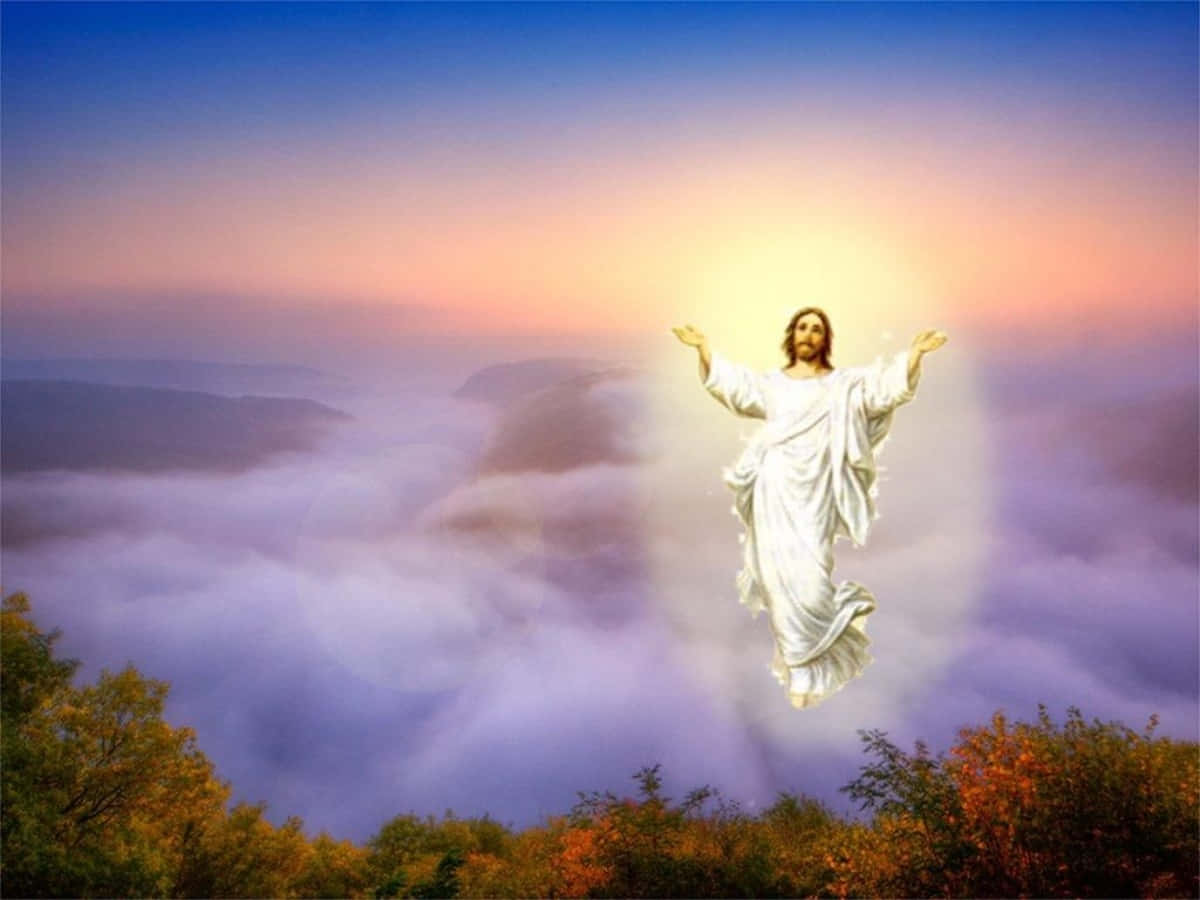 Christ 桌布 壁紙 — 耶穌基督在日出時分，在秋樹與雲海之上散發神聖光芒。