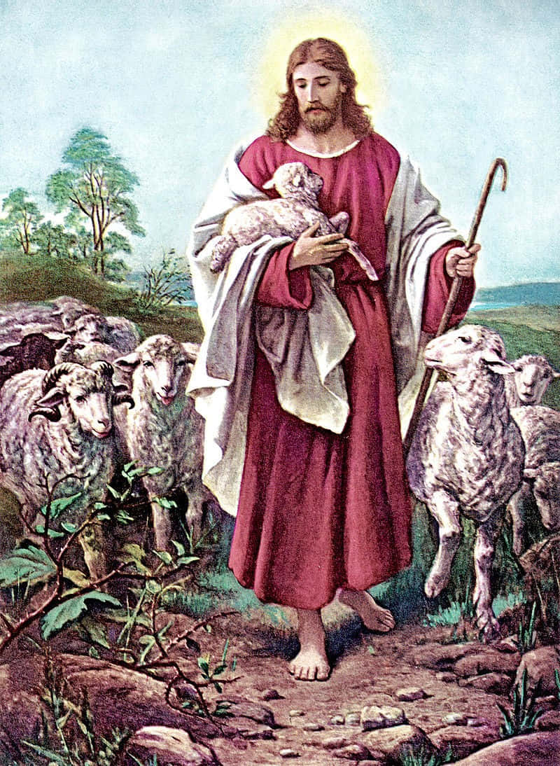 Jesus With Sheep 桌布 壁紙 — 耶穌基督帶著光環，溫柔地懷抱一隻羔羊，同時在田園風光中手持牧羊杖，身旁有一群羊。