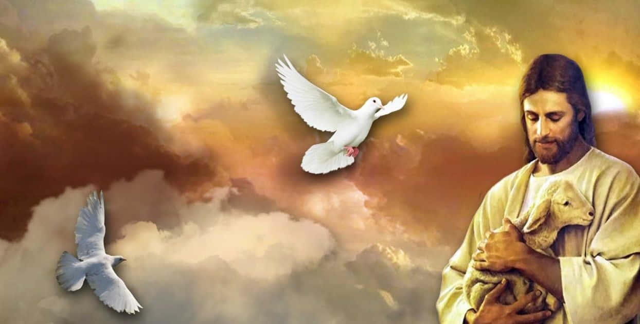 Praying 桌布 壁紙 — 耶穌懷抱羔羊，白鴿在金色和橙色的多雲天空中翱翔。