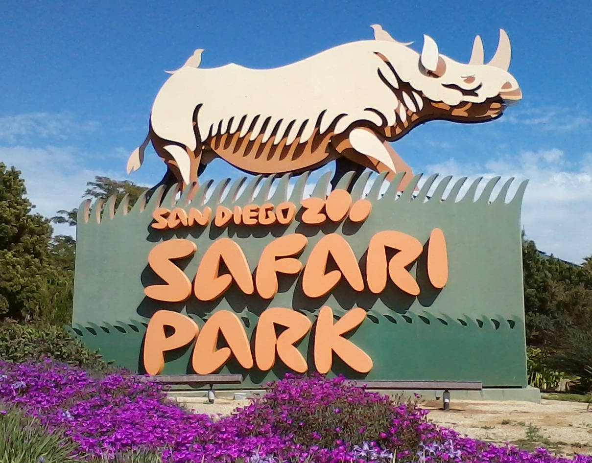 Rhinoceros 桌布 壁紙 — 聖地牙哥動物園野生動物園的一個大型標誌，在藍天和前景的紫色花朵襯托下，橙色粗體字母上方有一個風格化的白色犀牛剪影。