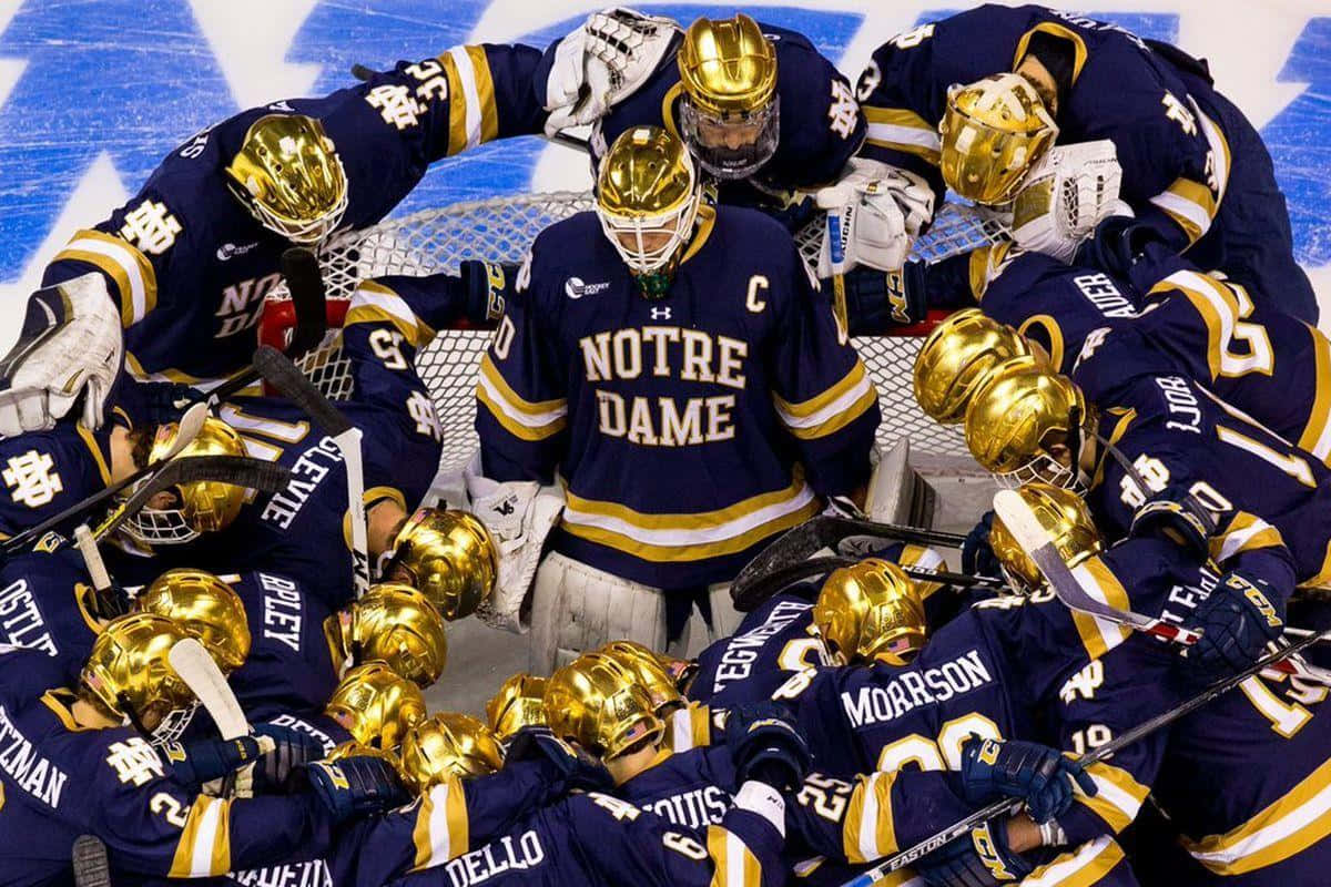 hockey 桌布 壁紙 — 聖母大學冰球隊在冰上緊密圍攏，戴著金色頭盔，身穿帶有黃色條紋的海軍藍球衣。