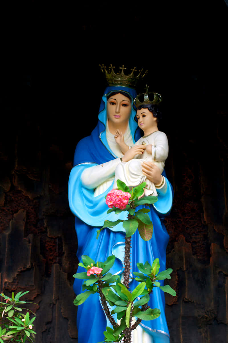Mother Mary 桌布 壁紙 — 聖母瑪利亞懷抱嬰兒耶穌的雕像，身穿藍色長袍，腳邊有一朵粉紅色的花，背景是深色石牆。