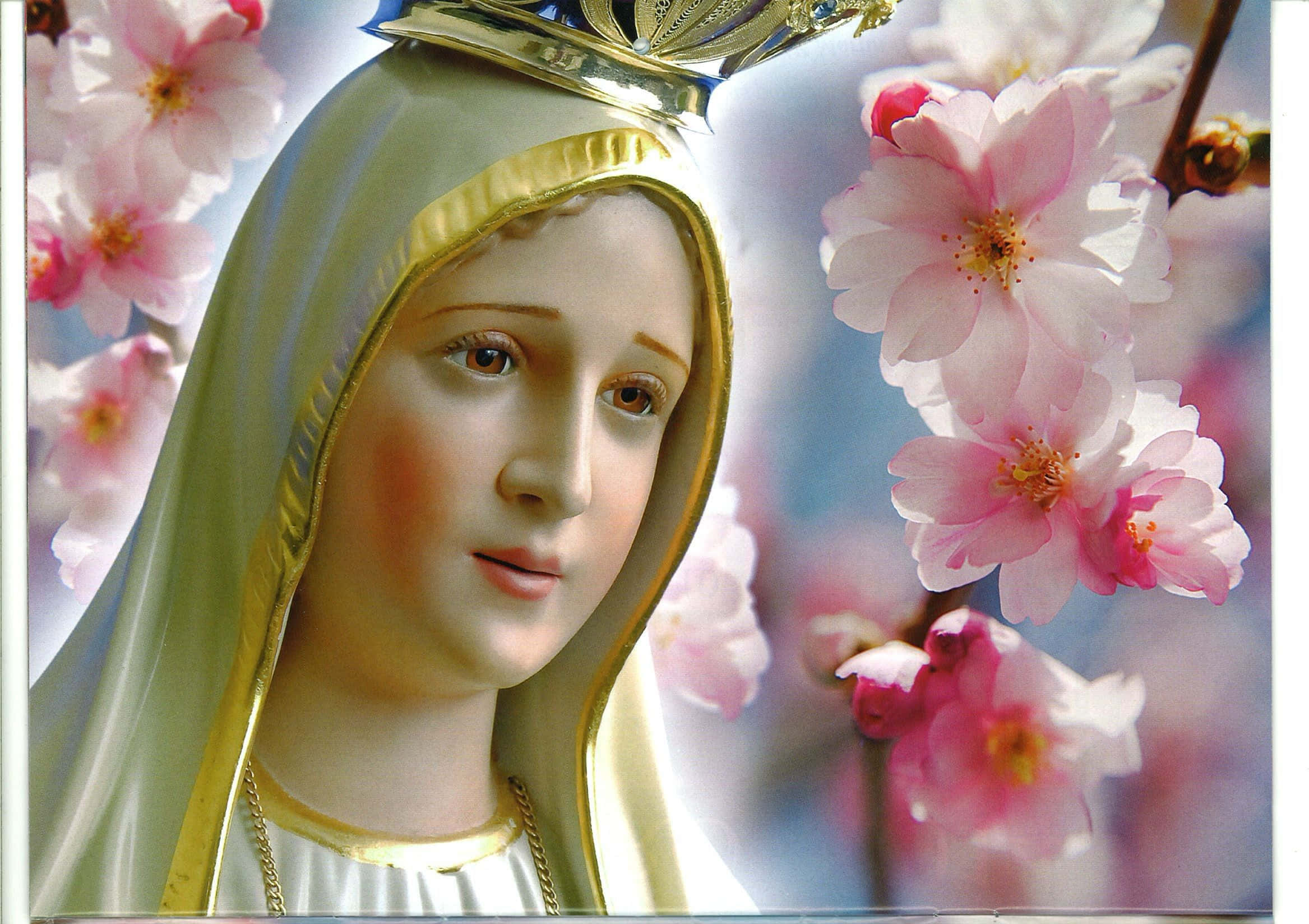 Mother Mary 桌布 壁紙 — 聖母瑪利亞的寧靜雕像，戴著白色面紗和金色皇冠，被柔和的粉紅色櫻花環繞。