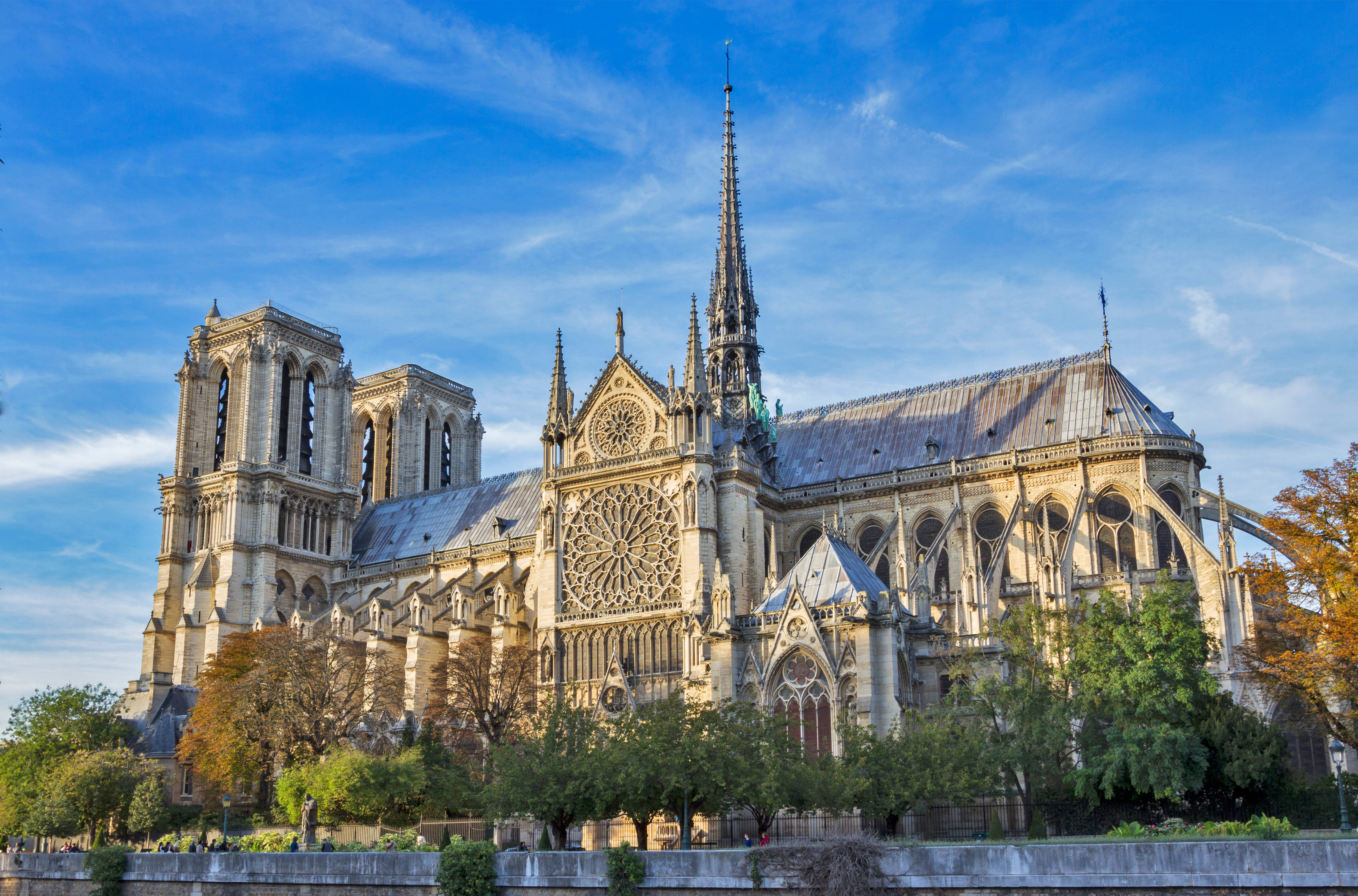 Notre Dame 桌布 壁紙 — 聖母院在明亮的藍天下巍然聳立，秋樹環繞其哥德式建築。