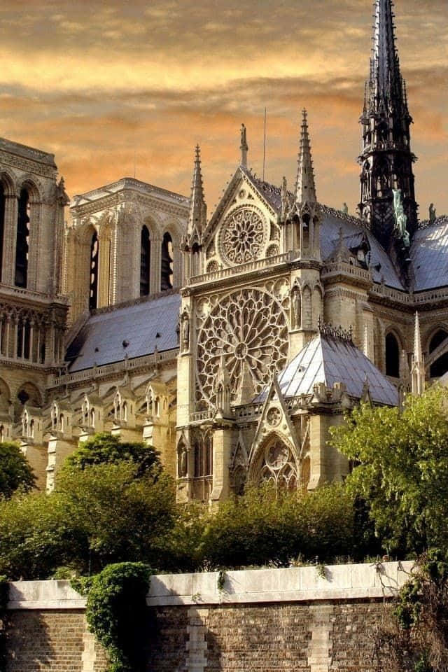 Notre Dame 桌布 壁紙 — 聖母院大教堂在金色日落天空的映襯下雄偉矗立，擁有複雜的哥德式建築和下方茂密的綠樹。