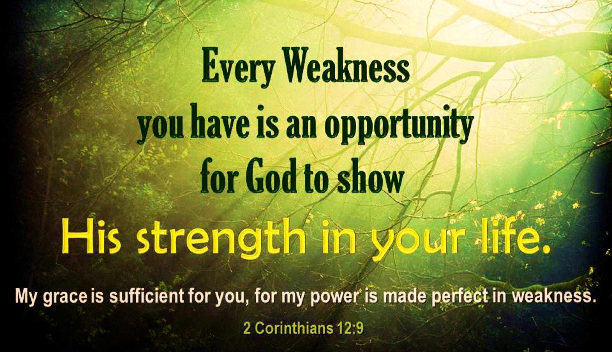 God Quotes 桌布 壁紙 — 聖經經文在森林中發光，陽光穿過光禿的樹枝，投射出綠色和黃色的色調。