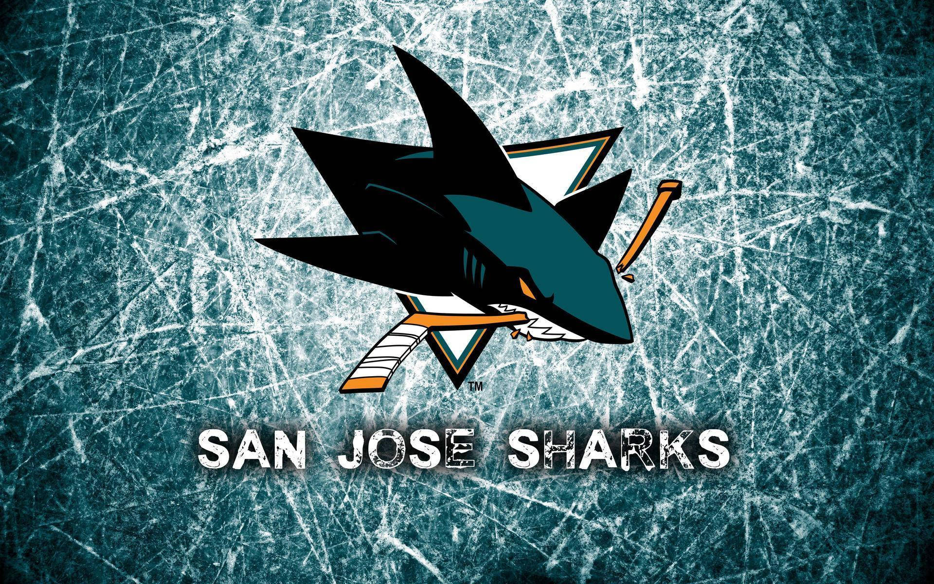 sharks 桌布 壁紙 — 聖荷西鯊魚隊標誌，冰球棍置於有刮痕的冰面背景上。