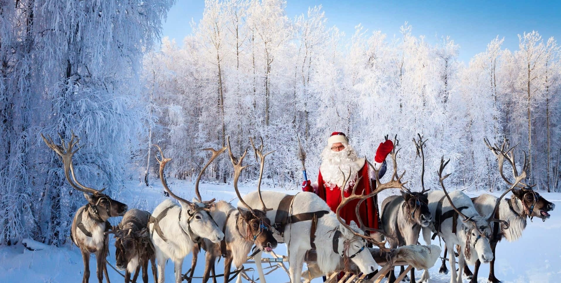 Santa Claus 桌布 壁紙 — 聖誕老人從由馴鹿拉動的雪橇上揮手，穿過白雪覆蓋的森林，在晴朗的藍天下。