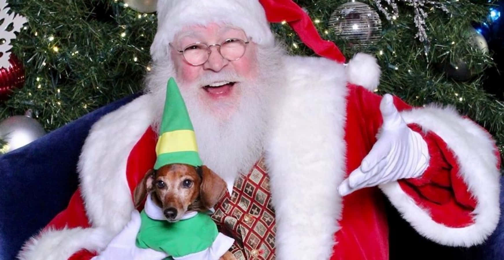 Santa Claus 桌布 壁紙 — 聖誕老人溫暖地微笑，同時抱著一隻打扮成精靈的臘腸犬，站在裝飾好的聖誕樹前。