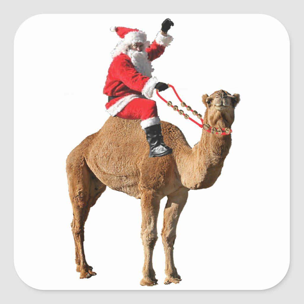 Santa Claus 桌布 壁紙 — 聖誕老人穿著紅色西裝騎著一頭棕色駱駝，在純白色背景上揮手打招呼。