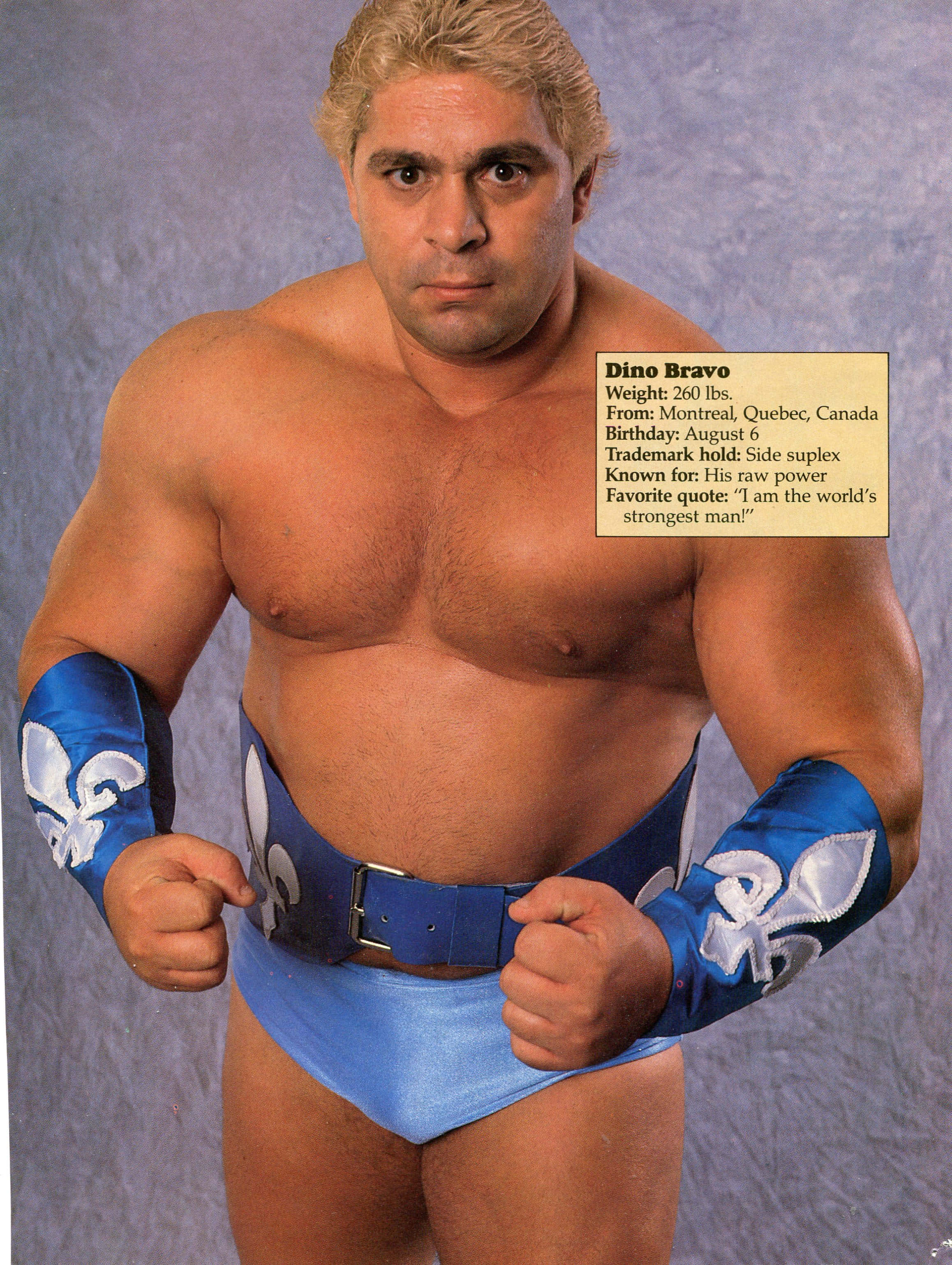 Legend 桌布 壁紙 — 肌肉發達的摔角手 Dino Bravo 自信地擺姿勢，身穿藍色魁北克主題短褲，背景為有紋理的灰色。