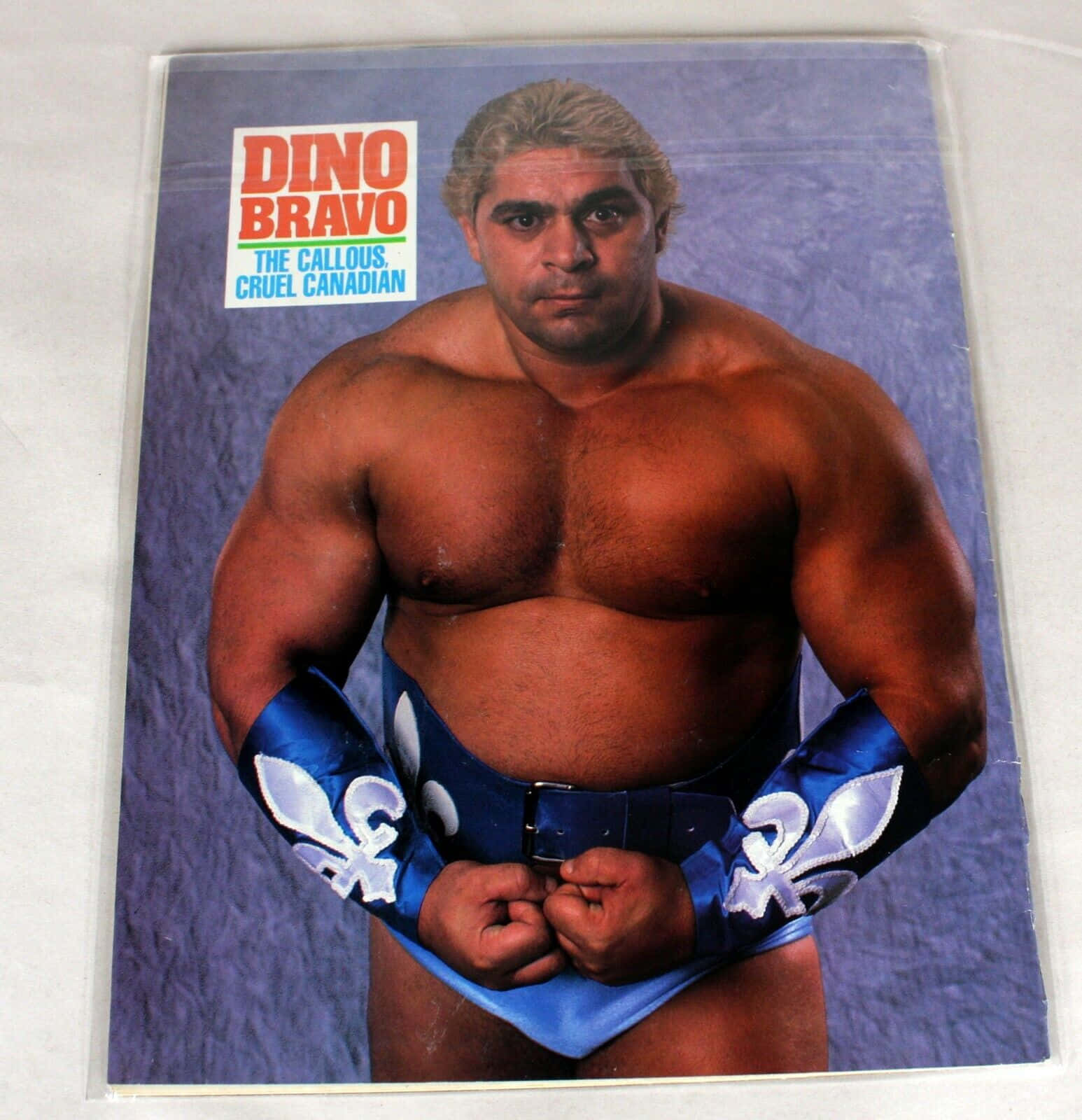 Legend 桌布 壁紙 — 肌肉發達的摔角手 Dino Bravo 在工作室肖像中穿著帶有白色鳶尾花的藍色短褲和相配的腰帶，在紋理紫色背景前凝視著。