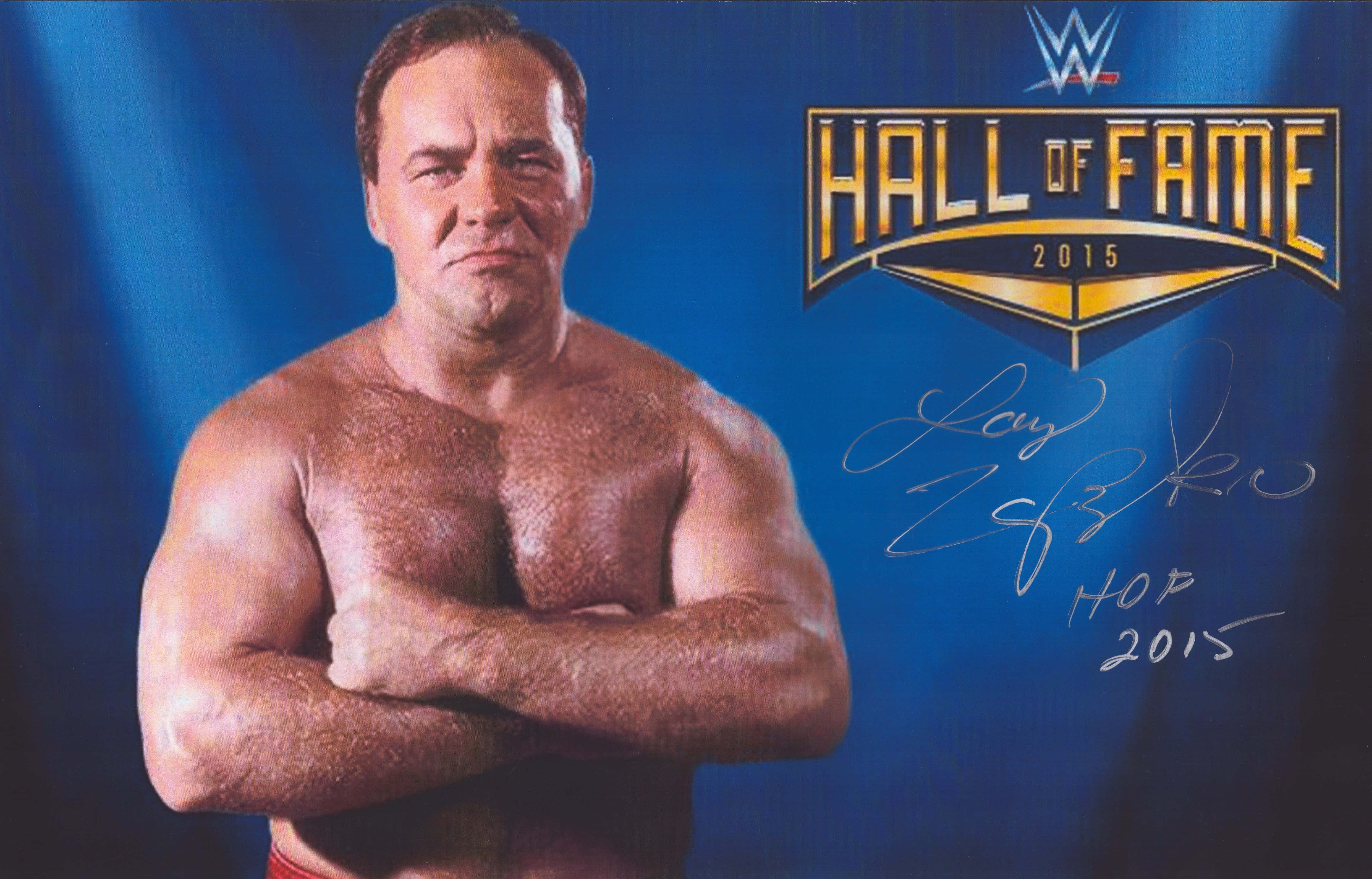 WWE 桌布 壁紙 — 肌肉發達的摔角手 Ray Mysterio 自信地交叉雙臂，站在帶有 WWE Hall of Fame 2015 標誌和他簽名的藍色背景前。
